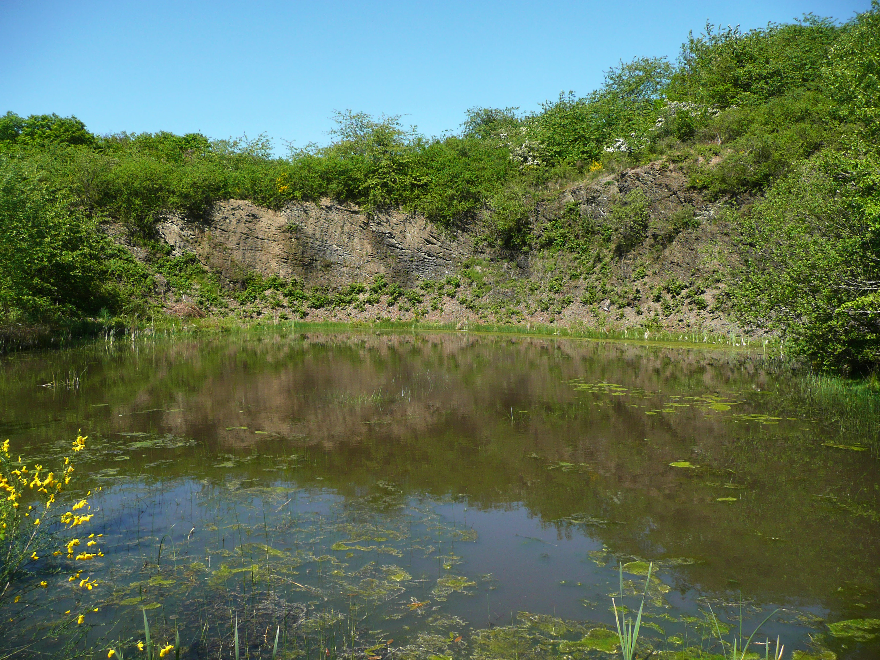 A small, still pond reflects the surrounding rock face and lush green vegetation in a former quarry at Kleine Lummersbach bei Cyriaxweimar.