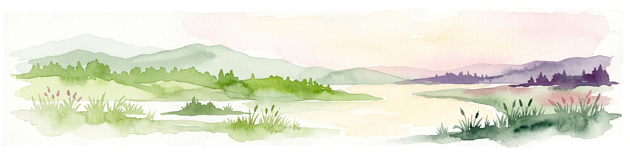 Watercolor painting of a tranquil wetland scene with grassy banks, small pools of water, and rolling hills in the background.