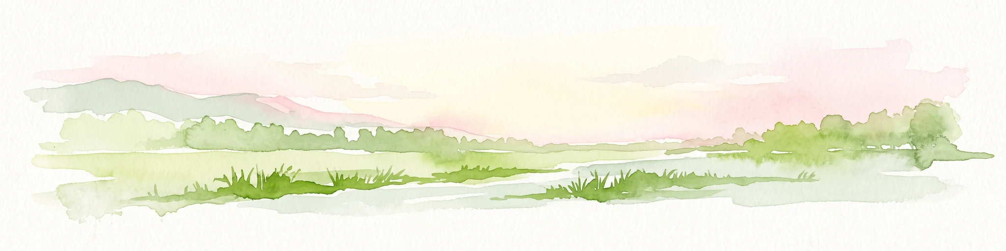 A horizontal watercolor painting showing a soft, atmospheric wetland scene with green meadows, tall grasses, distant tree lines, and a pale pink and yellow sky.