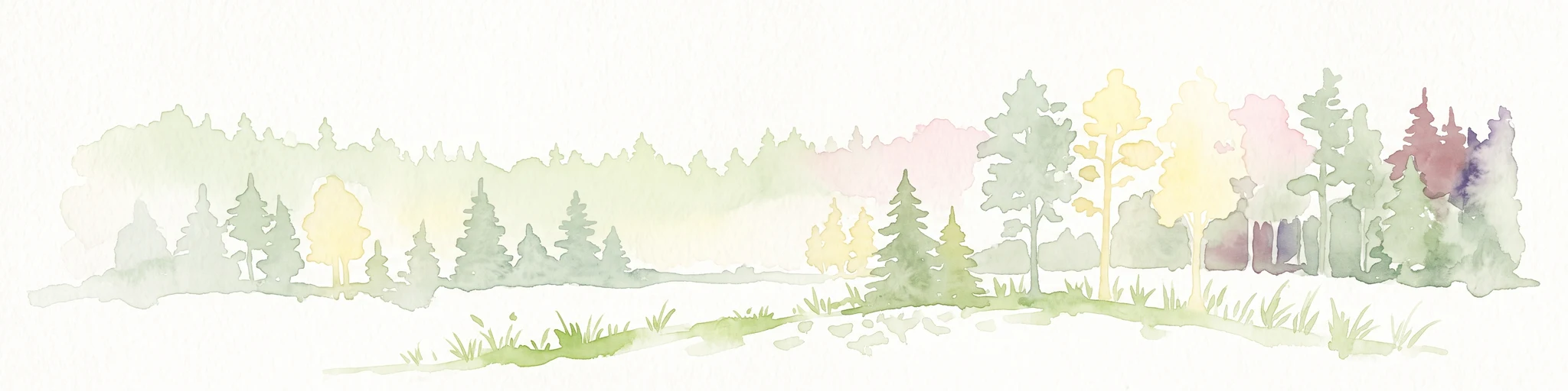 A horizontal watercolor painting showing a soft, fading line of forest trees, including conifers and yellow-leaved deciduous trees against a plain white background.