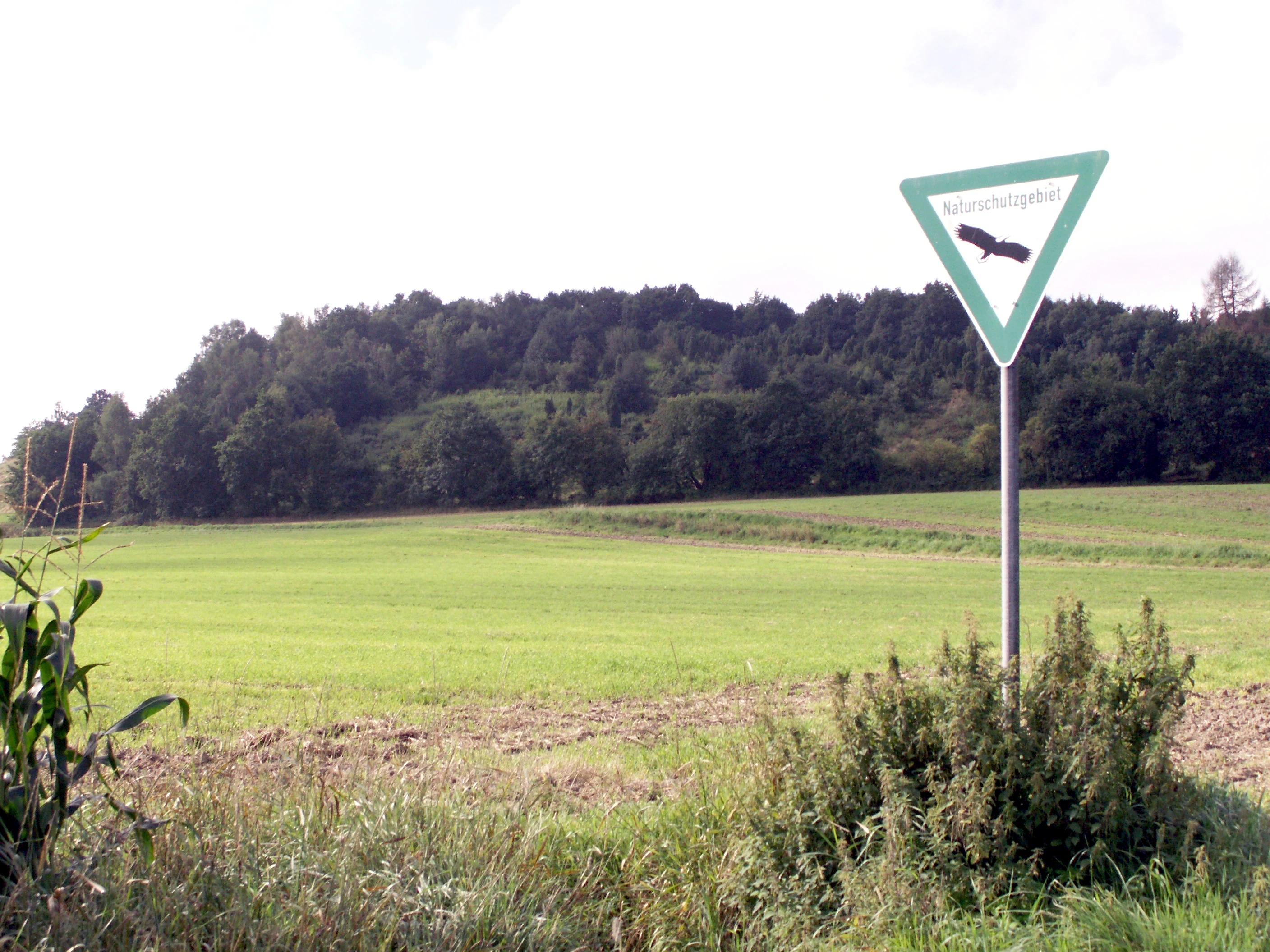 A triangular green and white nature reserve sign on a pole overlooks a green meadow with a dense, tree-covered hill in the background.