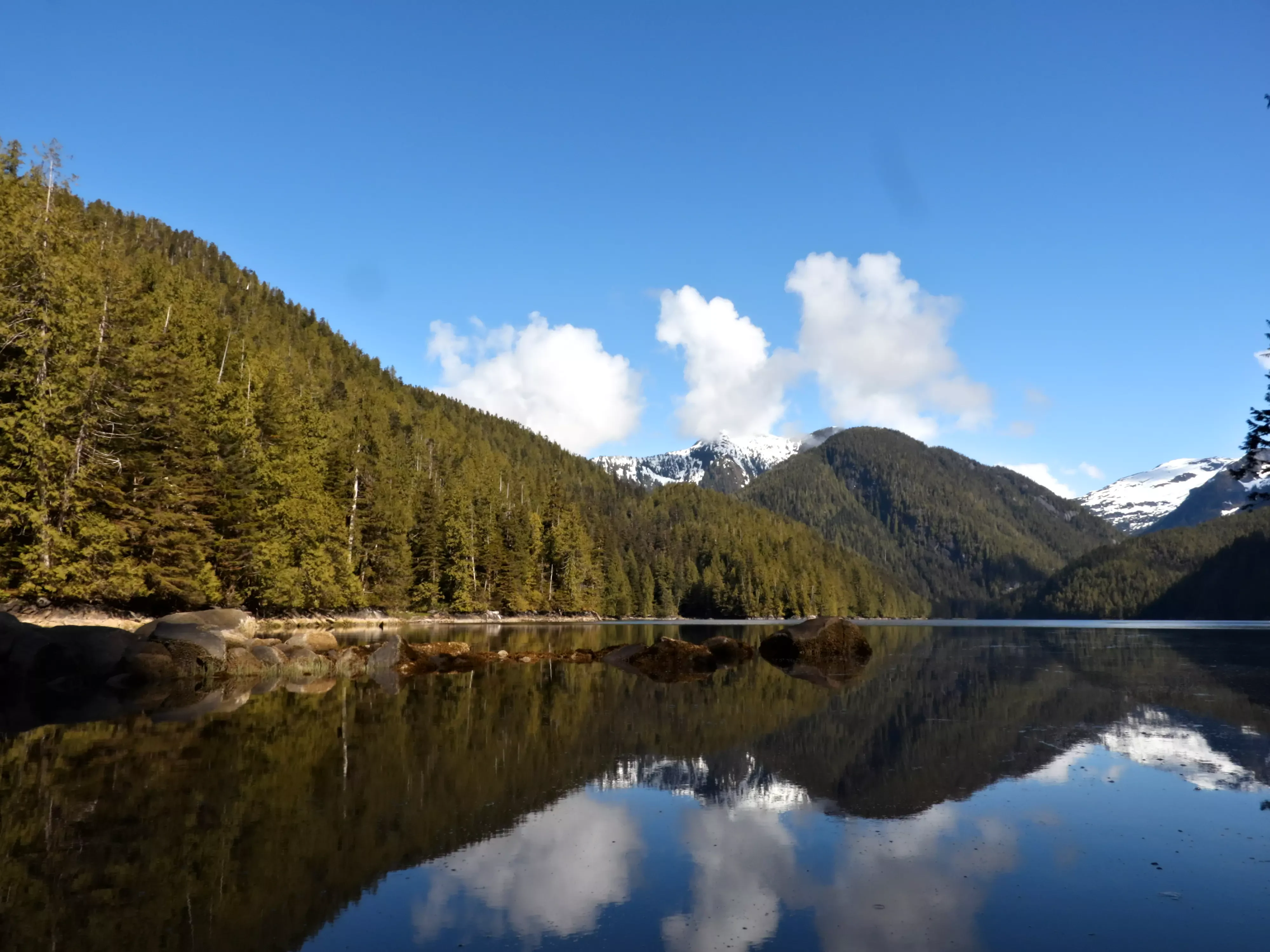 A wide, scenic view of a quiet, reflective inlet surrounded by dense coniferous forest and mountains with snow-covered peaks under a clear blue sky with light clouds.