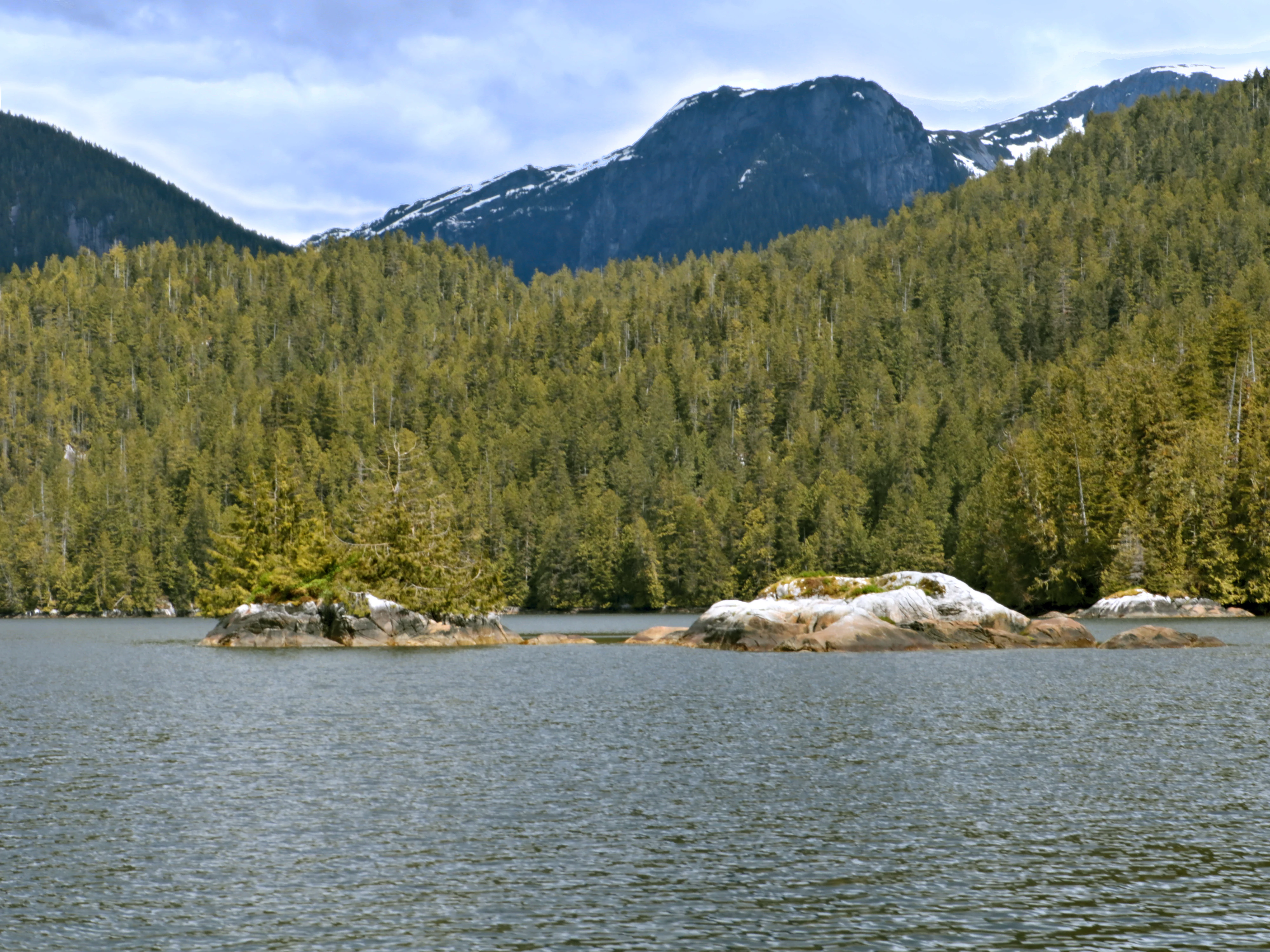 A view across a calm inlet towards small, rocky islets in the foreground, backed by a thick evergreen forest and snow-dusted mountains in the distance.
