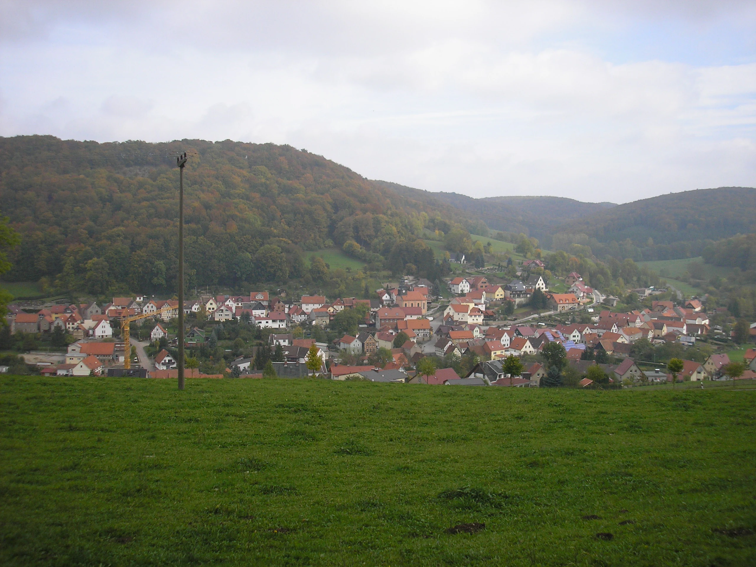 A wide landscape view showing a green meadow in the foreground, a village with red-roofed houses and a church steeple in the middle distance, and forested hills under an overcast sky in the background.