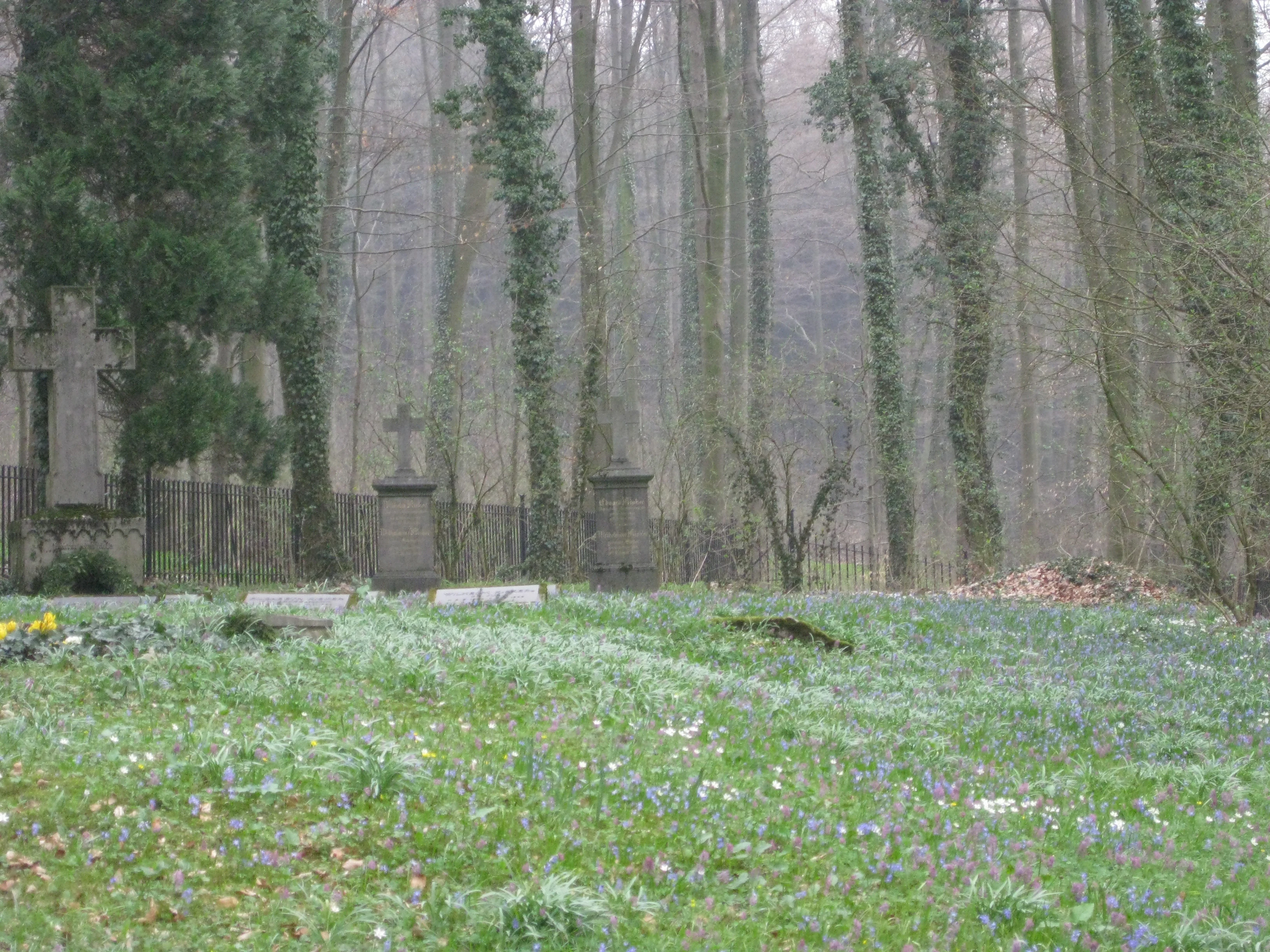 A historical stone grave monument with a cross, located in a grassy clearing surrounded by tall, leafless forest trees in a misty, overcast environment.