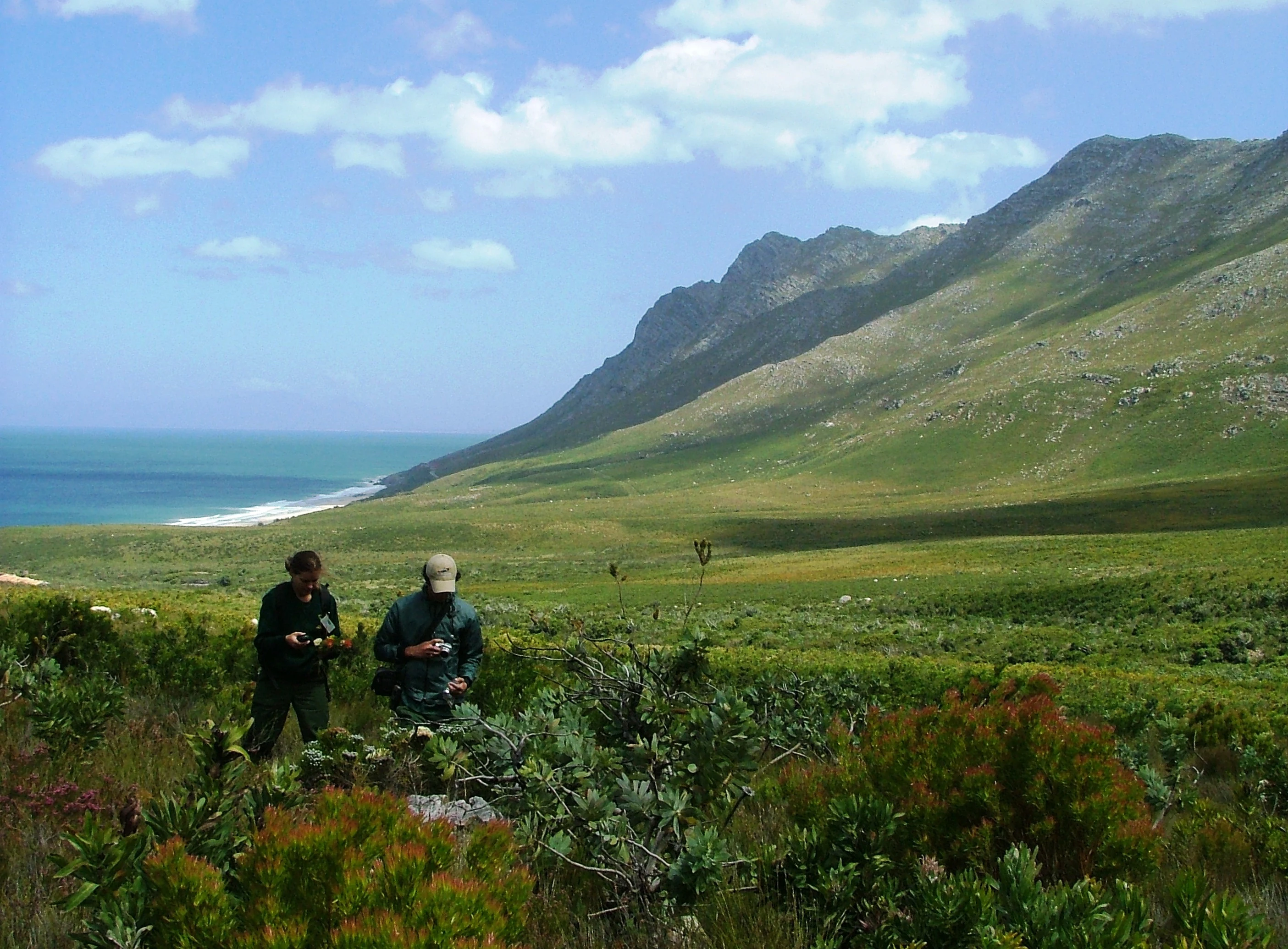 Two people standing in a vast, open landscape of coastal fynbos with steep, green mountains rising in the background next to the blue ocean.