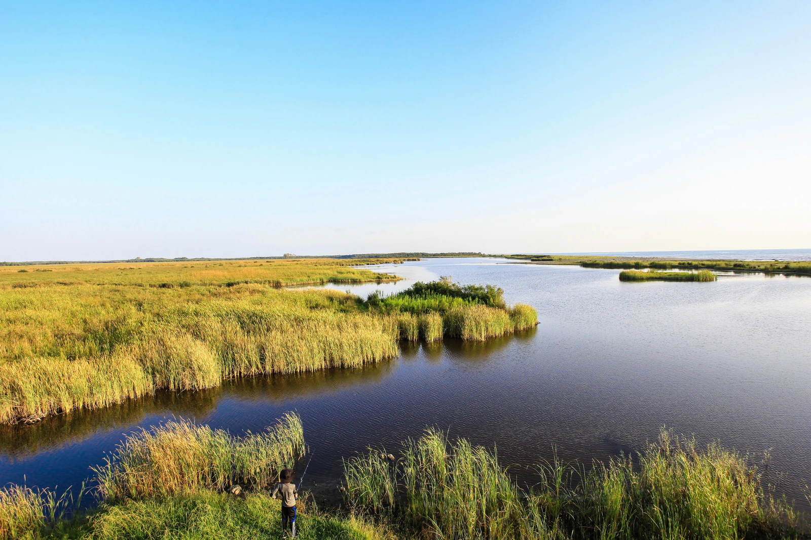 A wide view of Kolkheti National Park's wetlands featuring tall grasses, a calm waterway, and a person standing near the shore under a clear blue sky