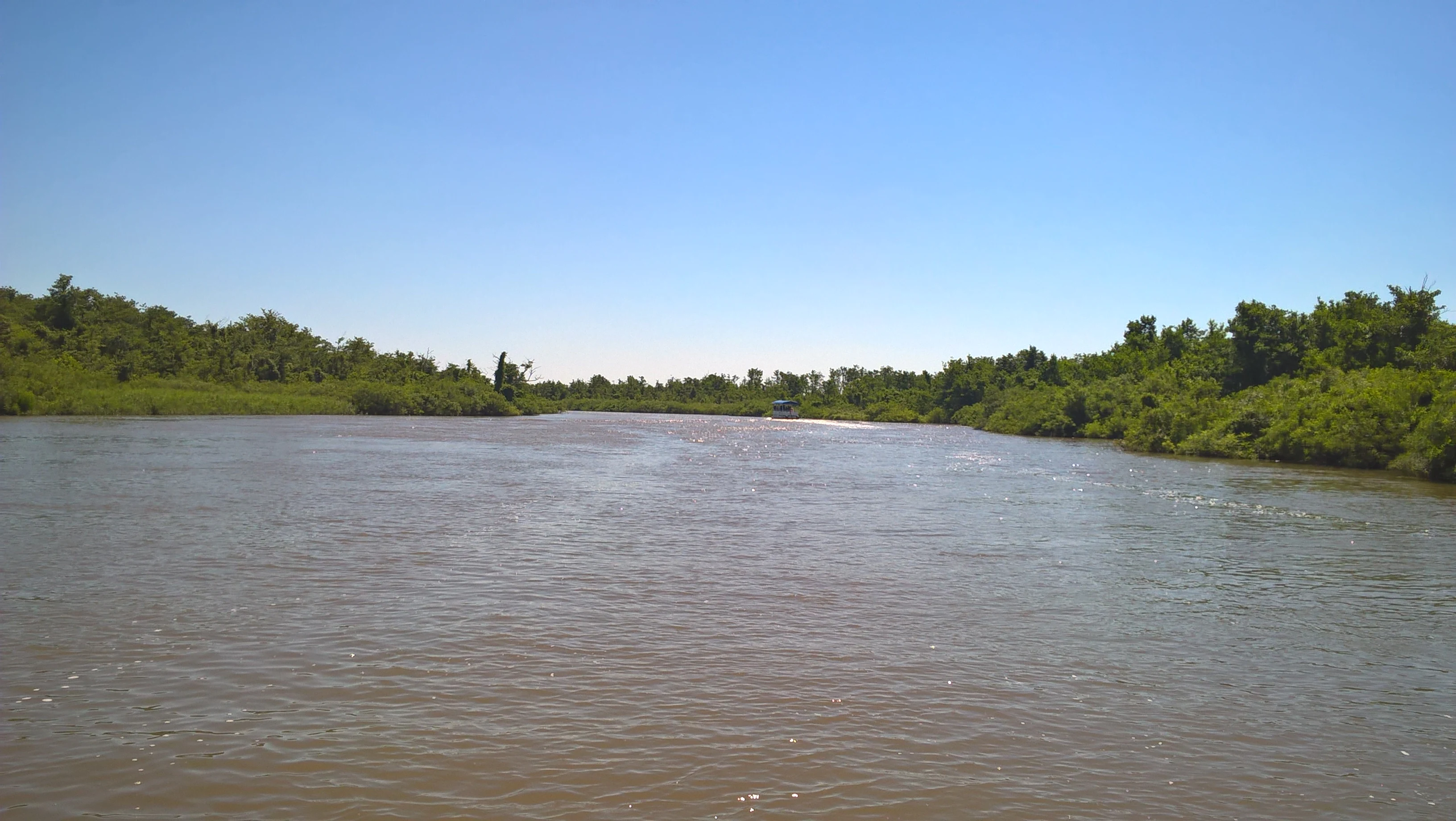 A wide body of water with calm brownish surface flanked by dense green trees under a clear blue sky