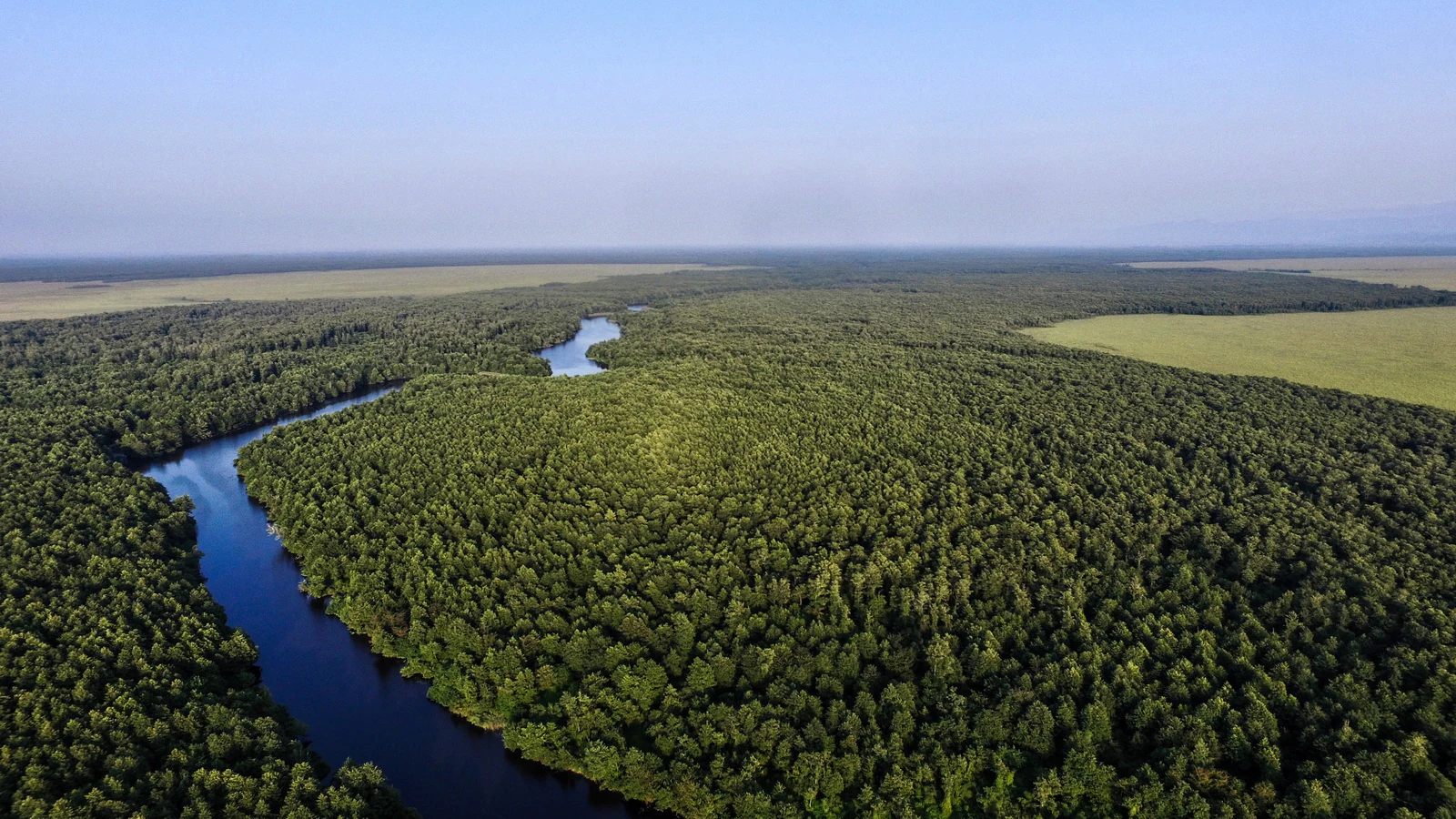 Aerial view of a winding river through dense green forest with a lake visible in the distance under a clear sky.