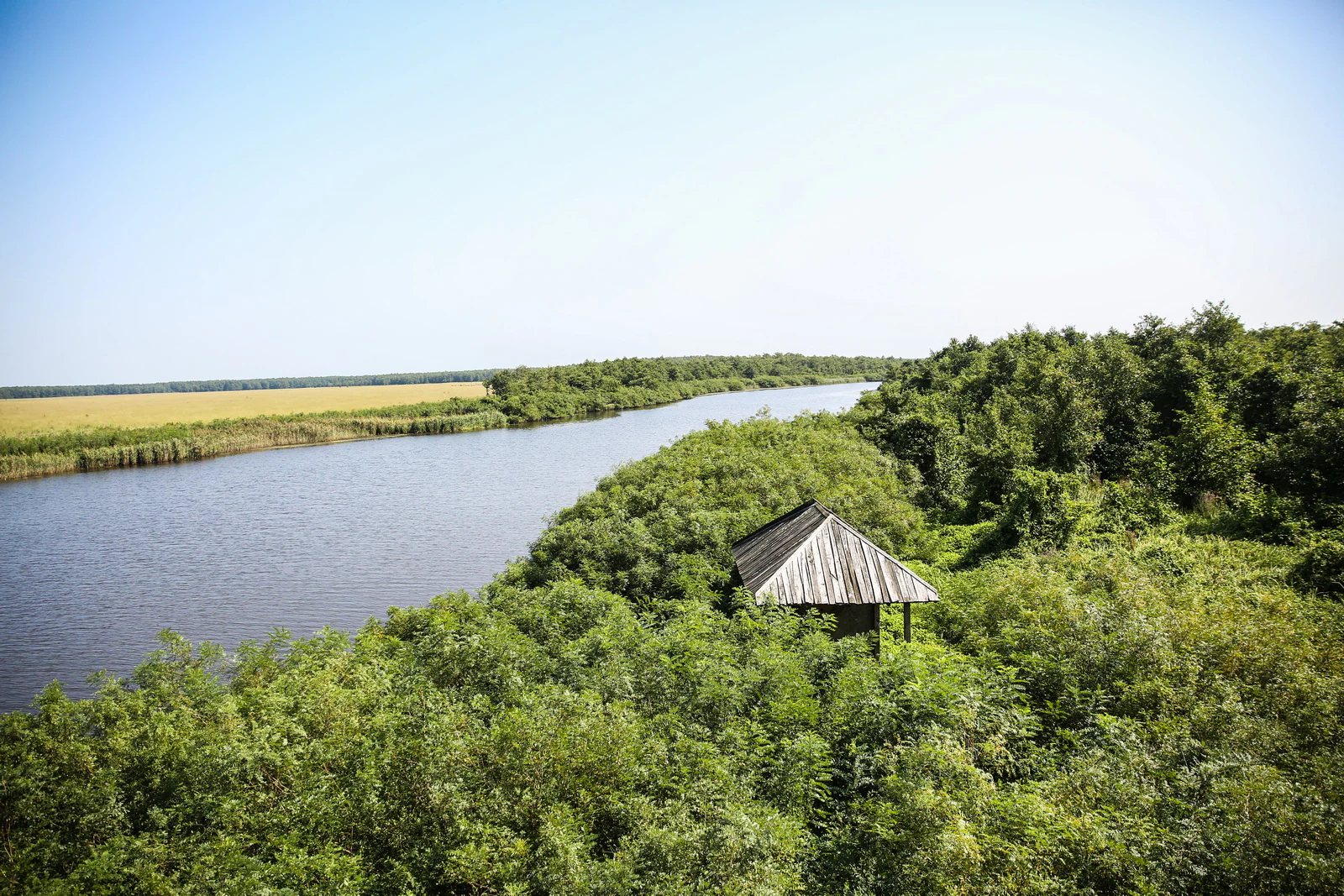 A river flows through dense green forest with a small wooden shelter under a clear sky