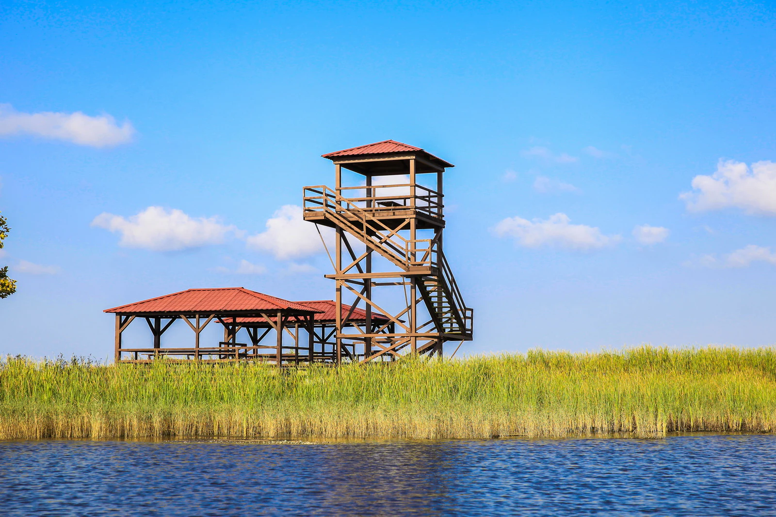 Wooden observation tower with red roof and staircase, adjacent to a covered shelter, situated by a body of water with tall grasses under a clear blue sky
