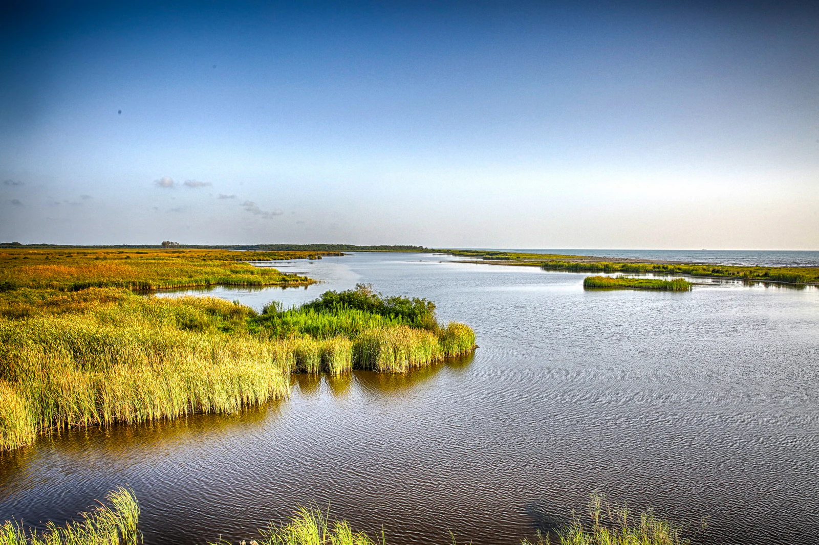 Panoramic wetland landscape with reeds, shallow water, and Black Sea horizon under clear blue sky