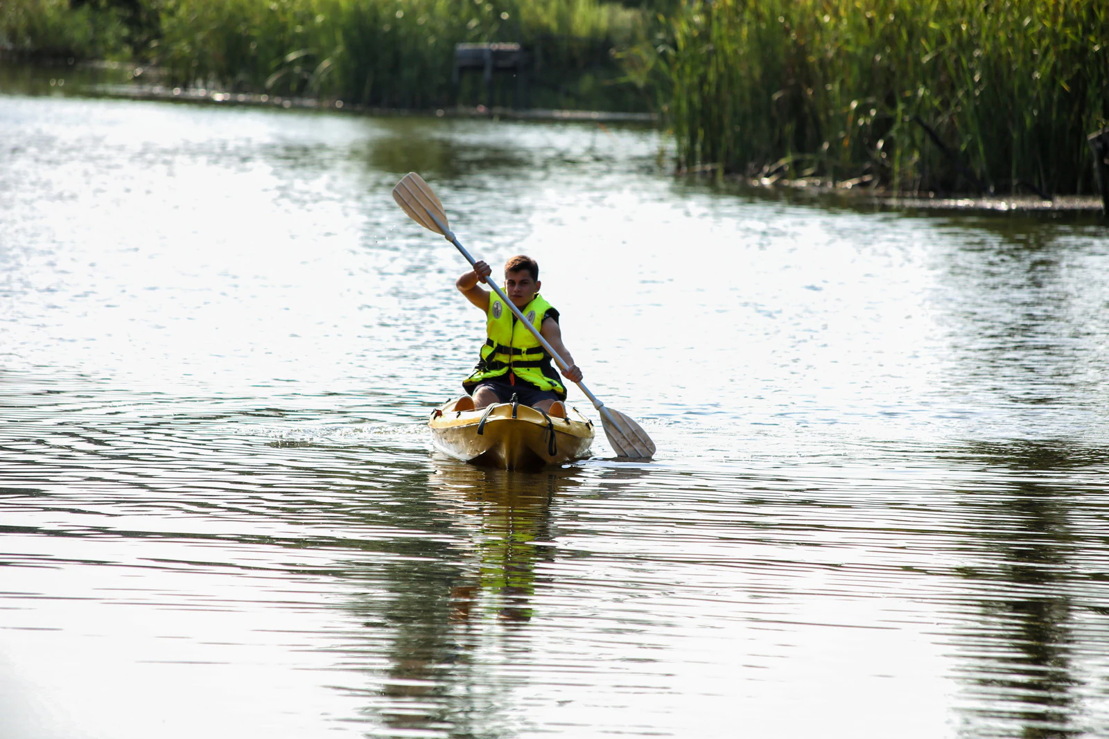 Person in a yellow kayak wearing a life jacket paddling on a calm body of water with reeds in the background