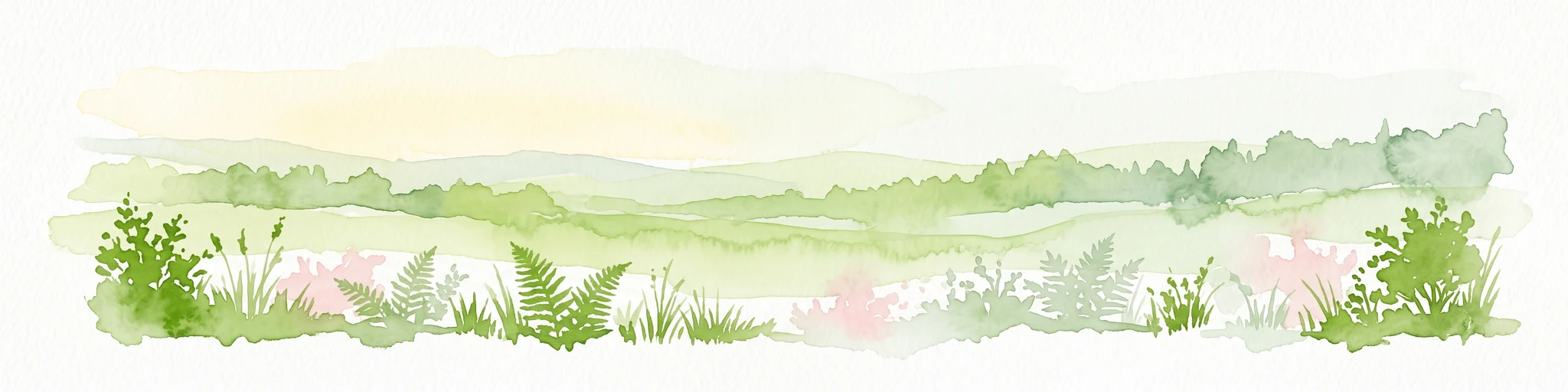 Watercolor painting of a lush, green landscape with ferns and grasses in the foreground and a soft, hazy forest line in the background.