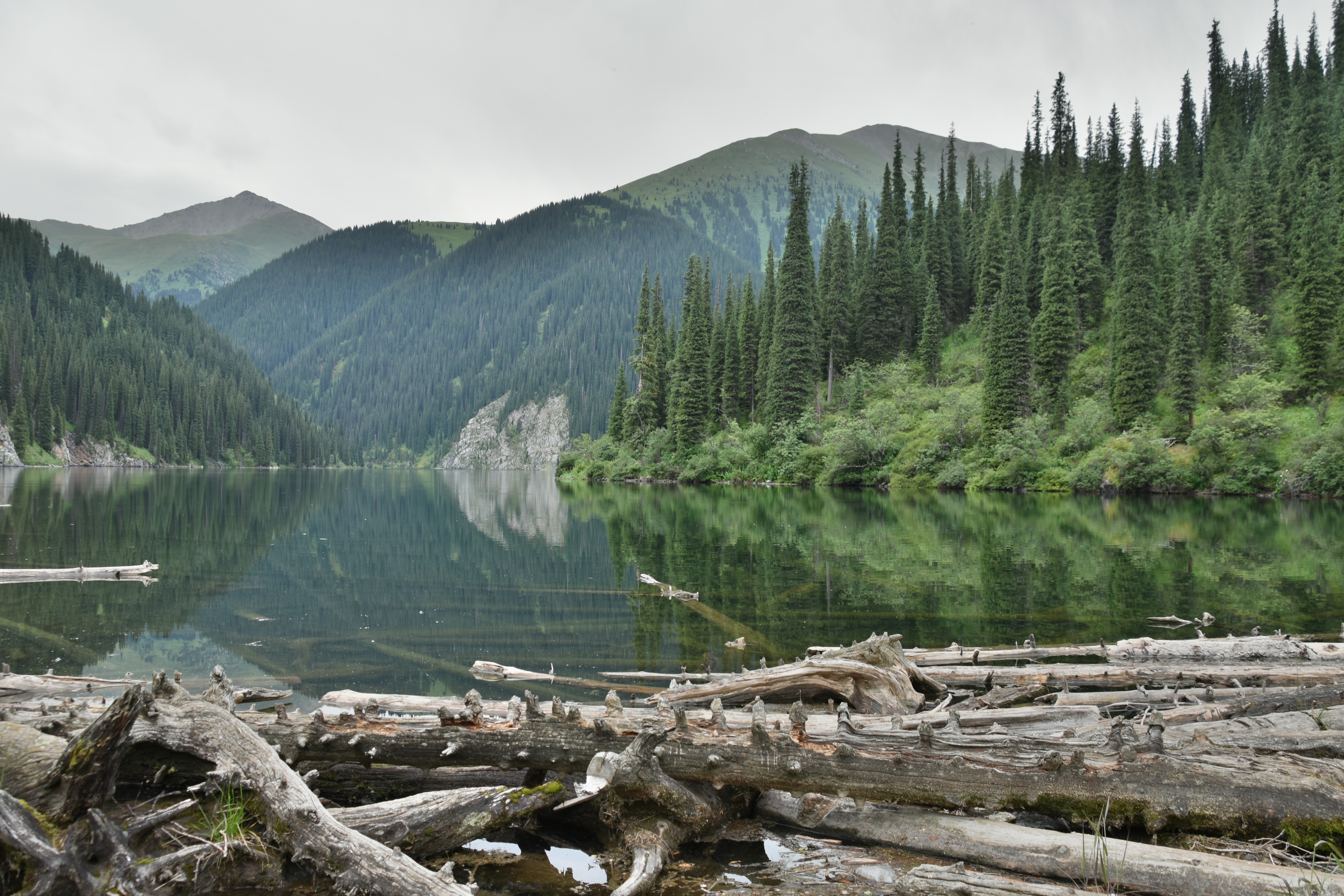 A calm mountain lake reflecting surrounding forested mountains, with fallen logs in the foreground