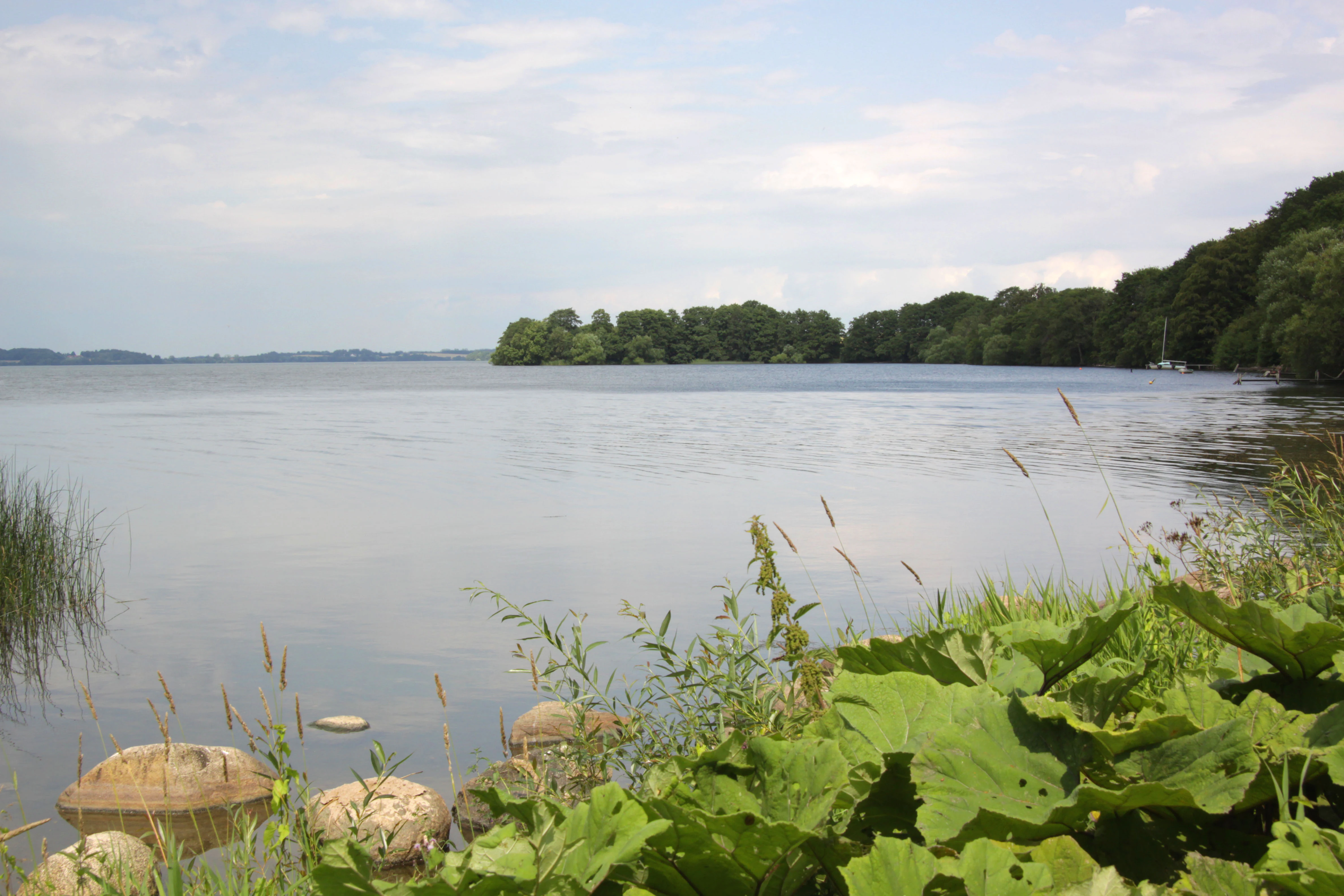 Calm lake with green vegetation along the shore and forested landmass in the distance under a partly cloudy sky