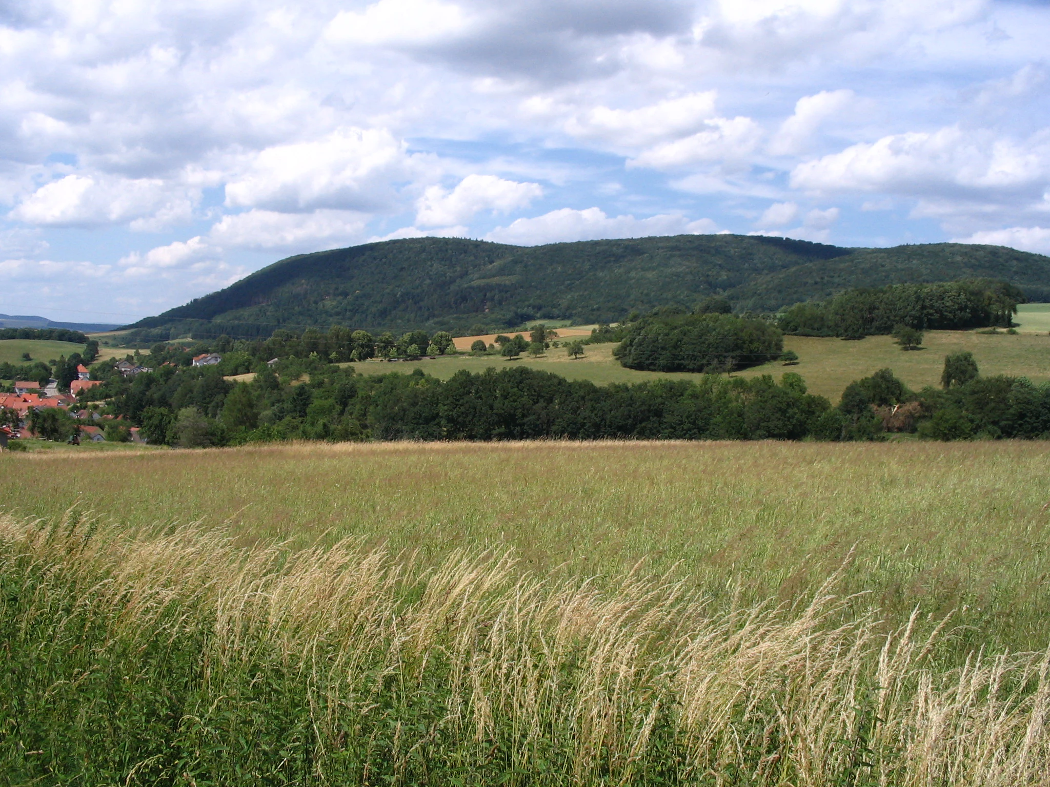 A wide landscape view of a green, forest-covered hill rising above open fields and meadows under a sky with scattered white clouds.