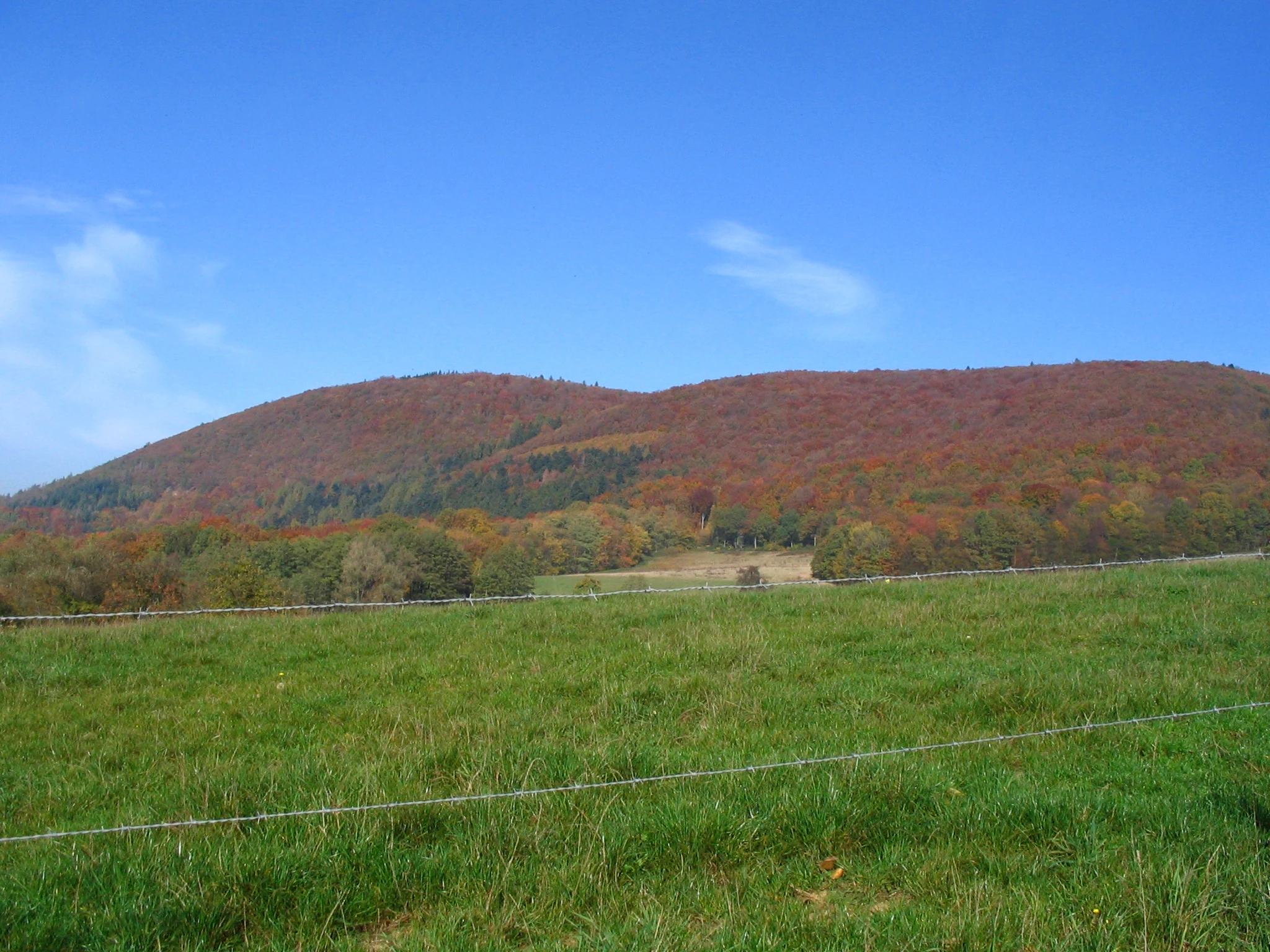 A wide view of a rolling, forested mountain slope covered in autumn foliage, viewed from a green grassy meadow with a wire fence in the foreground.