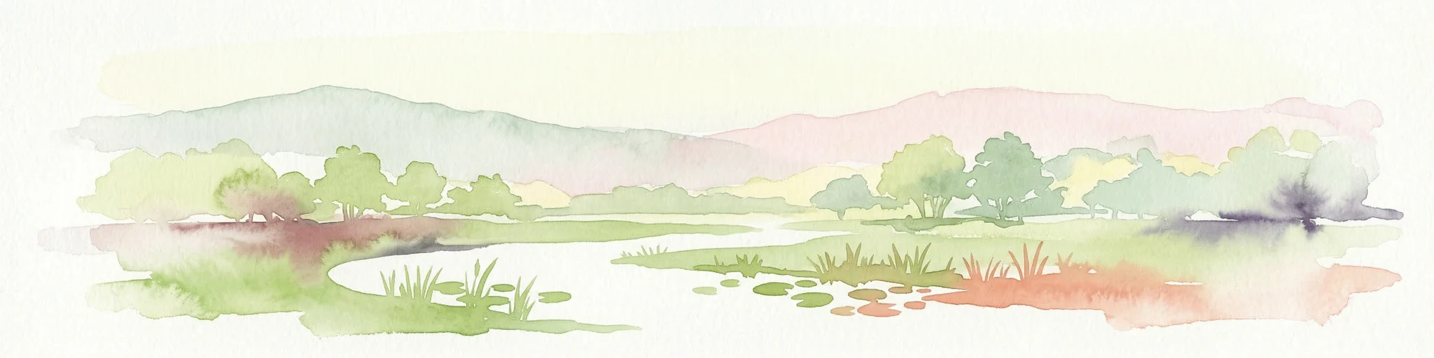 Ilustración acuarela de un río fluyendo a través de vegetación de humedal con colinas distantes bajo un cielo claro
