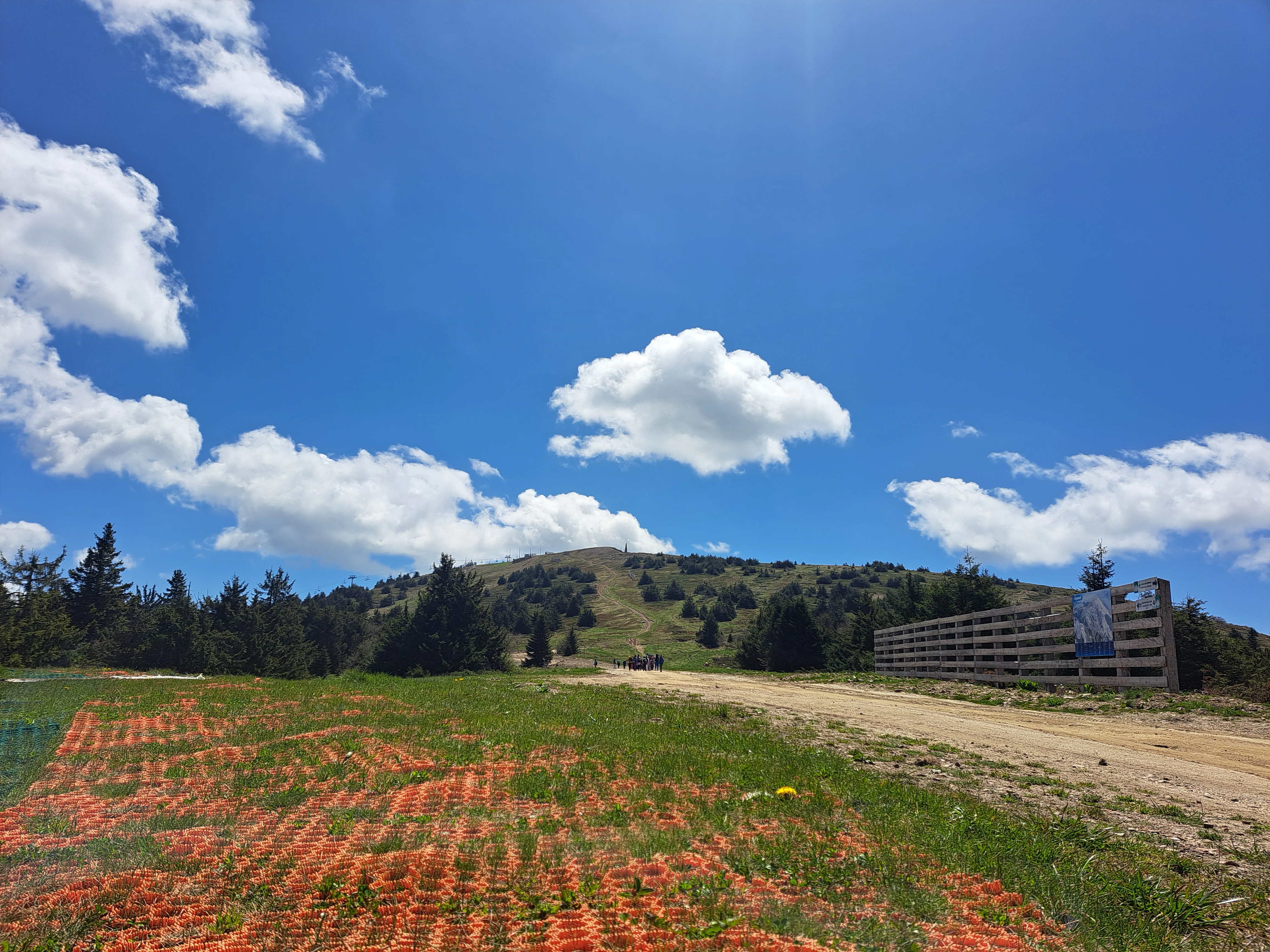 Grassy field with orange netting, dirt road, trees, and a mountain under blue sky with scattered clouds