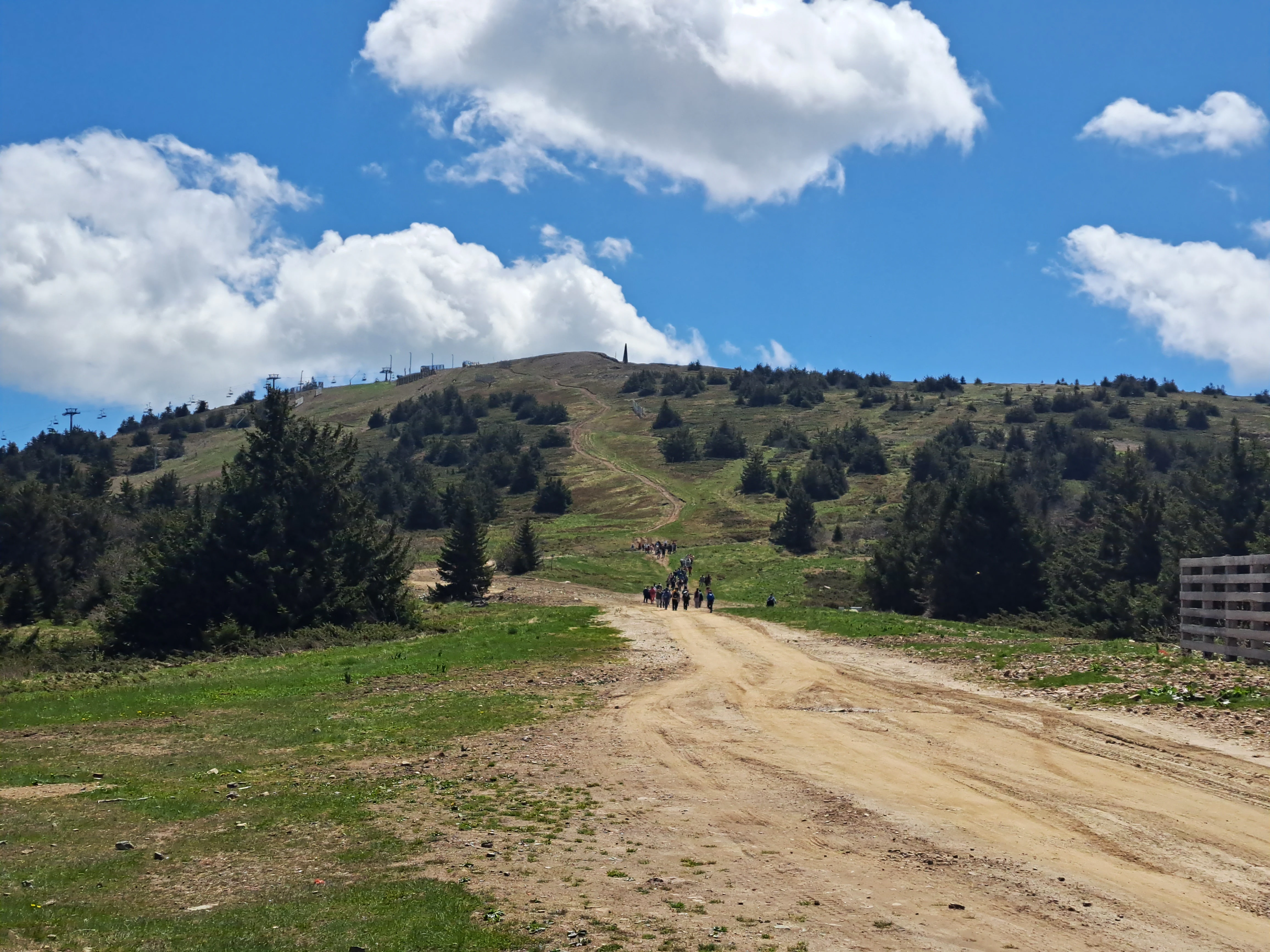 Grassy hillside with a dirt road, scattered trees, and a group of people walking in the distance under a partly cloudy sky