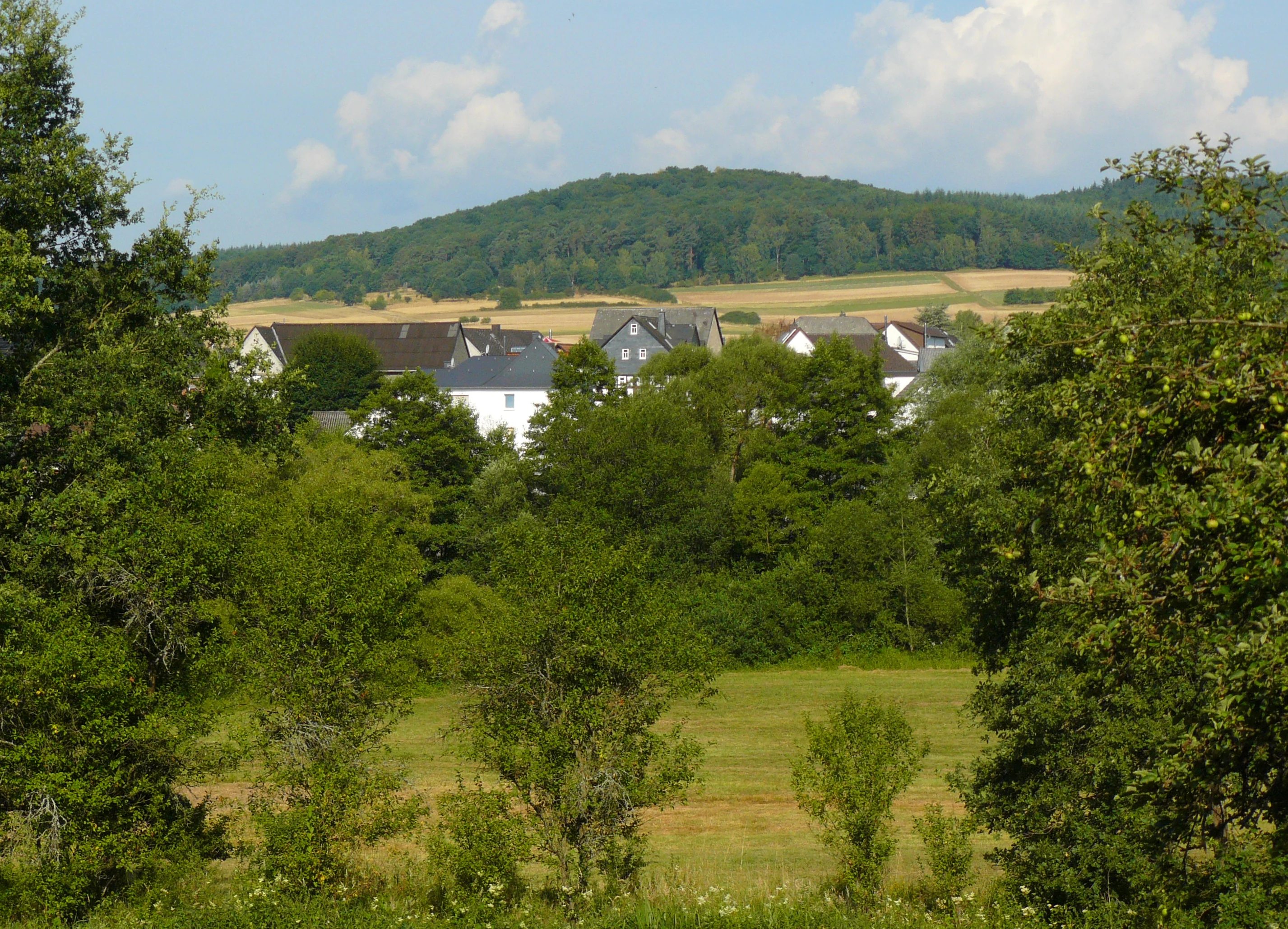 A green forested hill under a blue sky with light clouds, seen from a distance behind a residential village and green meadows.