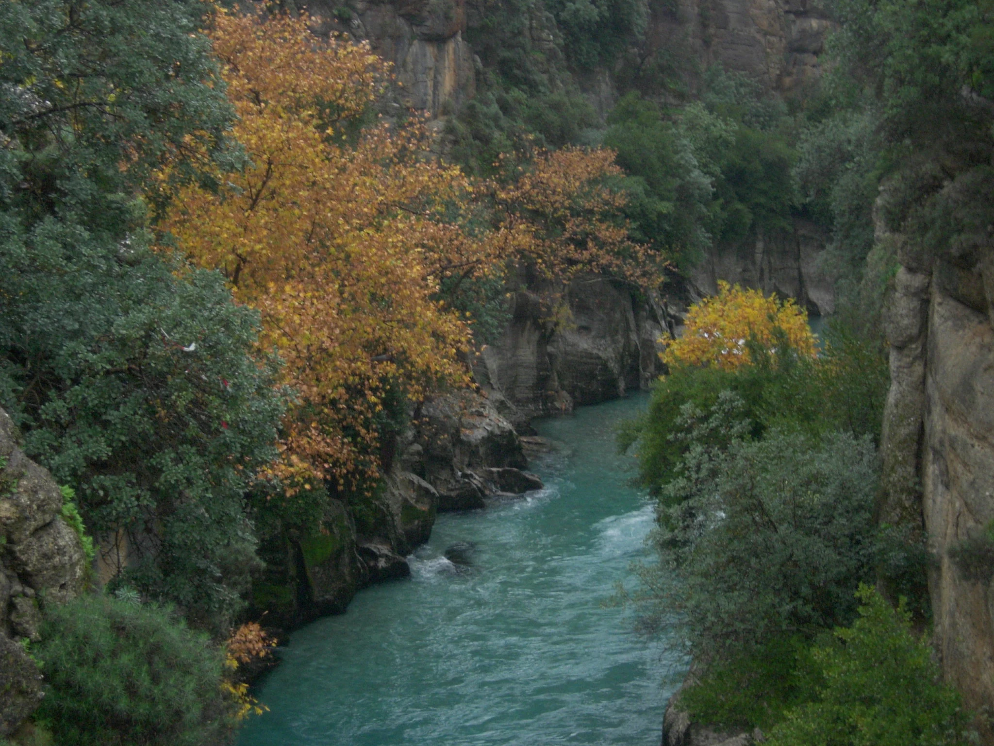 A river flows through a narrow canyon with steep rocky cliffs and dense vegetation including green and autumn-colored trees