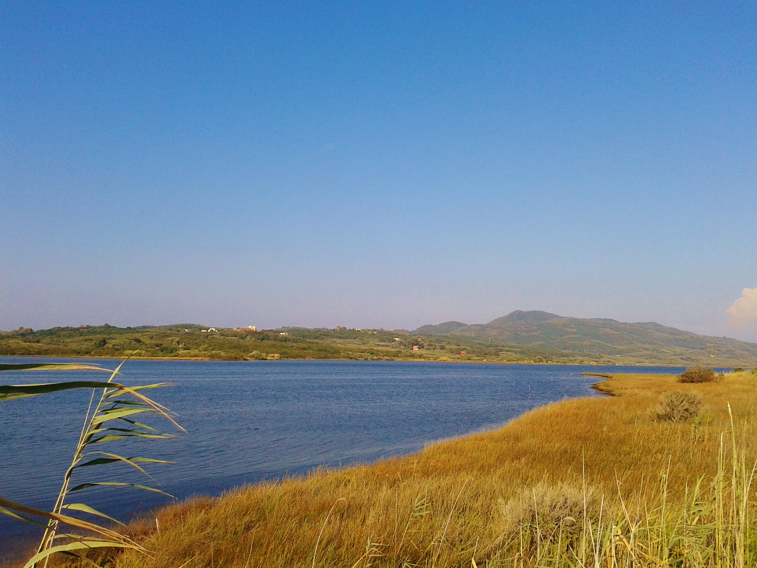 A wide, eye-level landscape shot of a calm blue lagoon with golden, dry grasses in the foreground and a rolling, hazy mountain range in the distance under a clear blue sky.