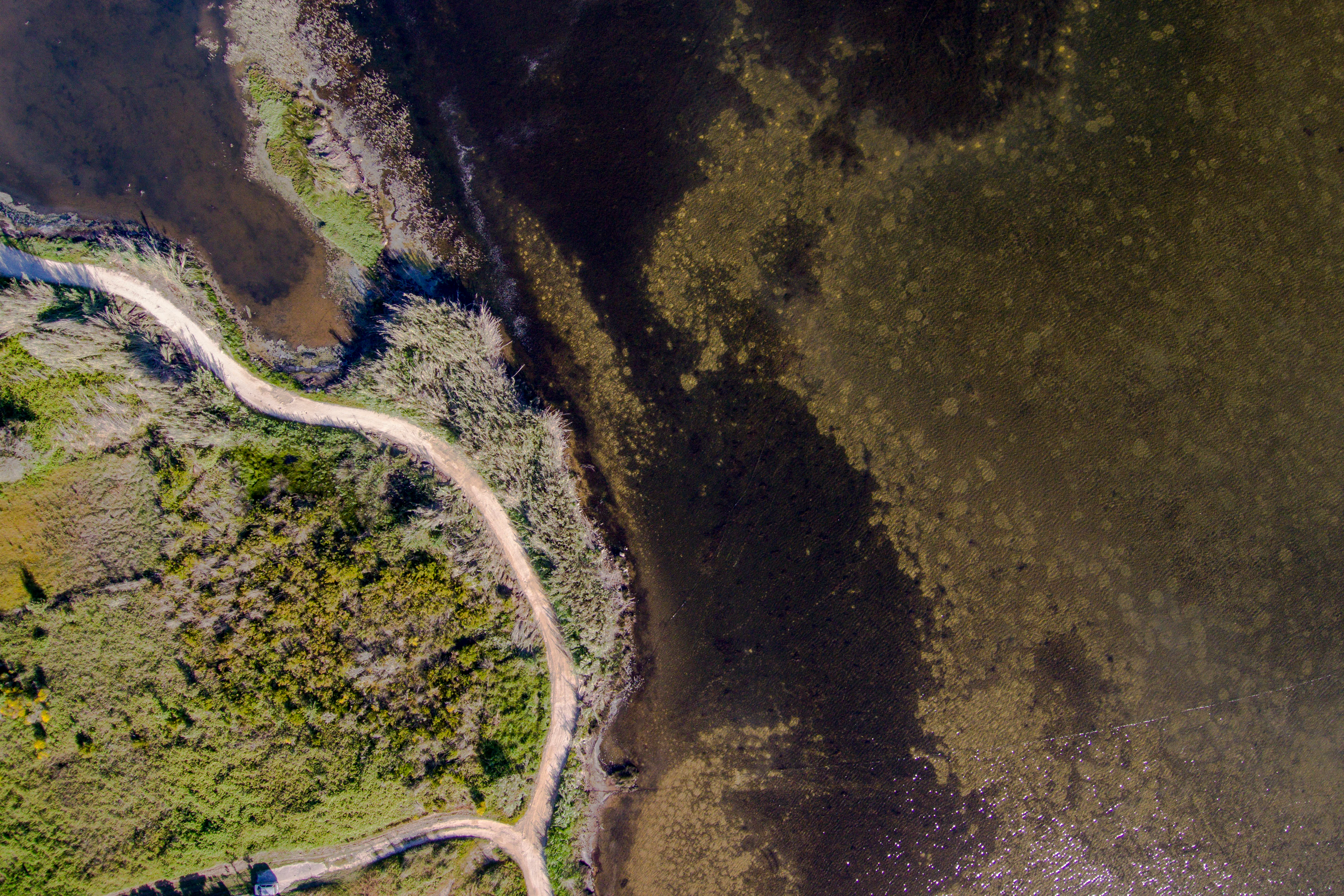 A high angle aerial view showing the edge of a dark, shallow lagoon meeting a shoreline with a winding dirt path and green coastal vegetation.
