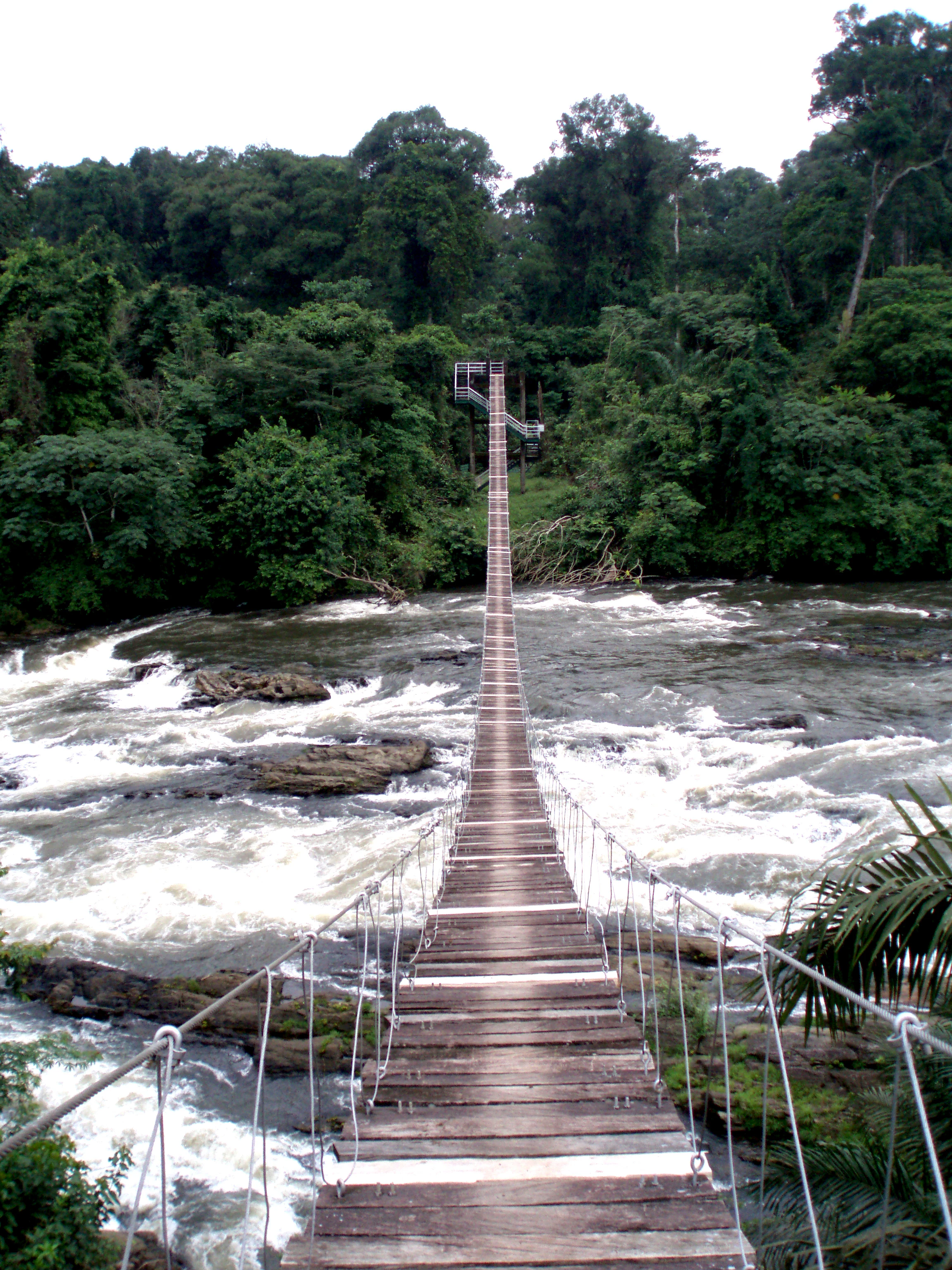 Puente colgante de madera que cruza un río caudaloso con un denso bosque de fondo