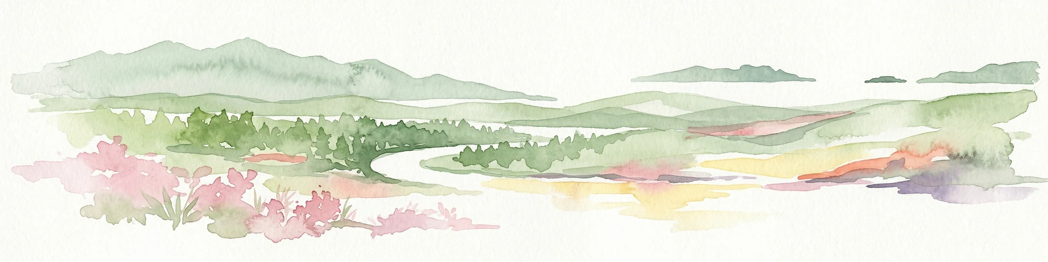Watercolor illustration of a forested landscape with pink flowering plants, a winding river, and mountain ranges in the background