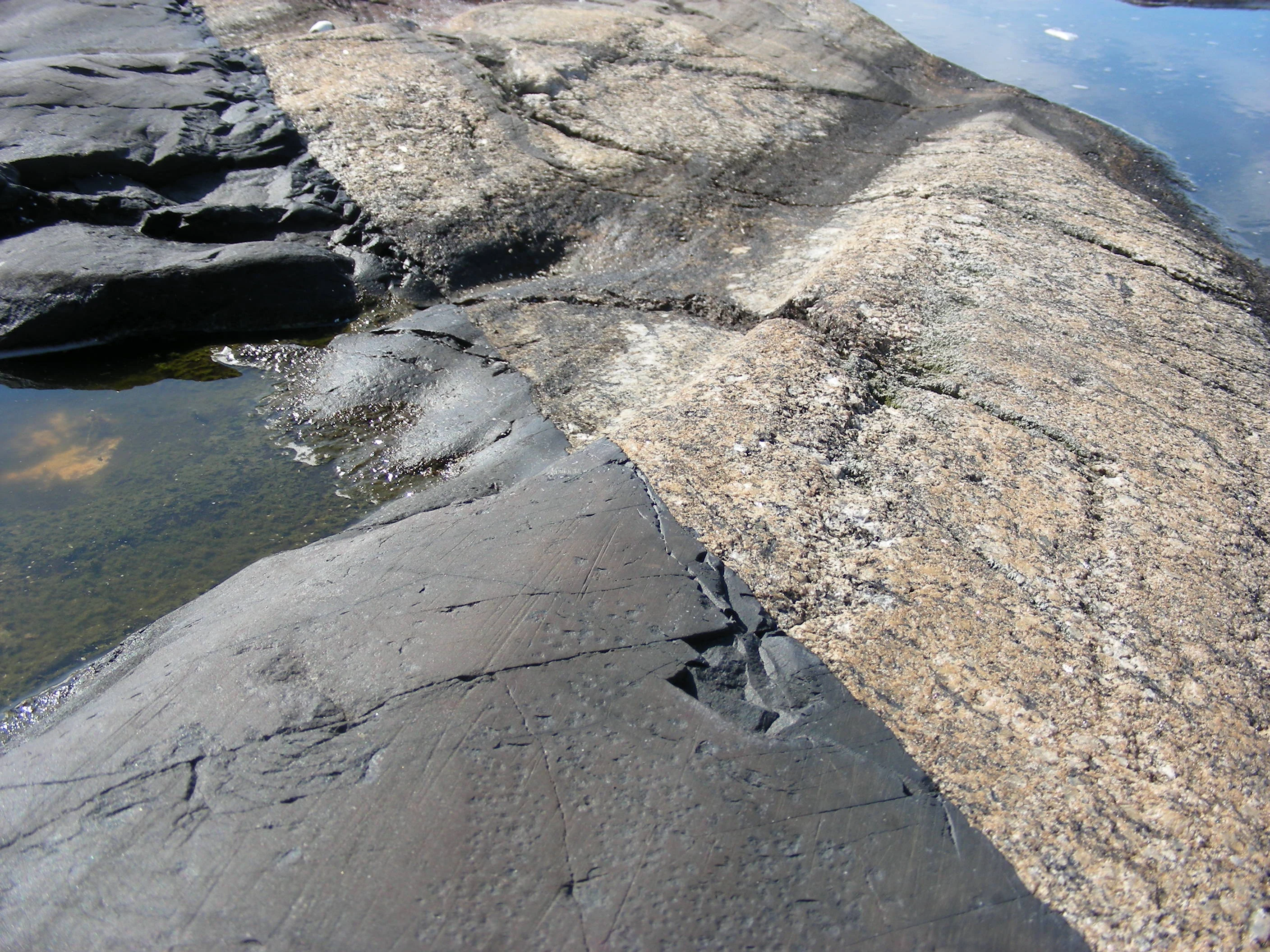 Close-up of rocky shoreline showing contact between dolerite dyke and migmatitic paragneiss with small water pools
