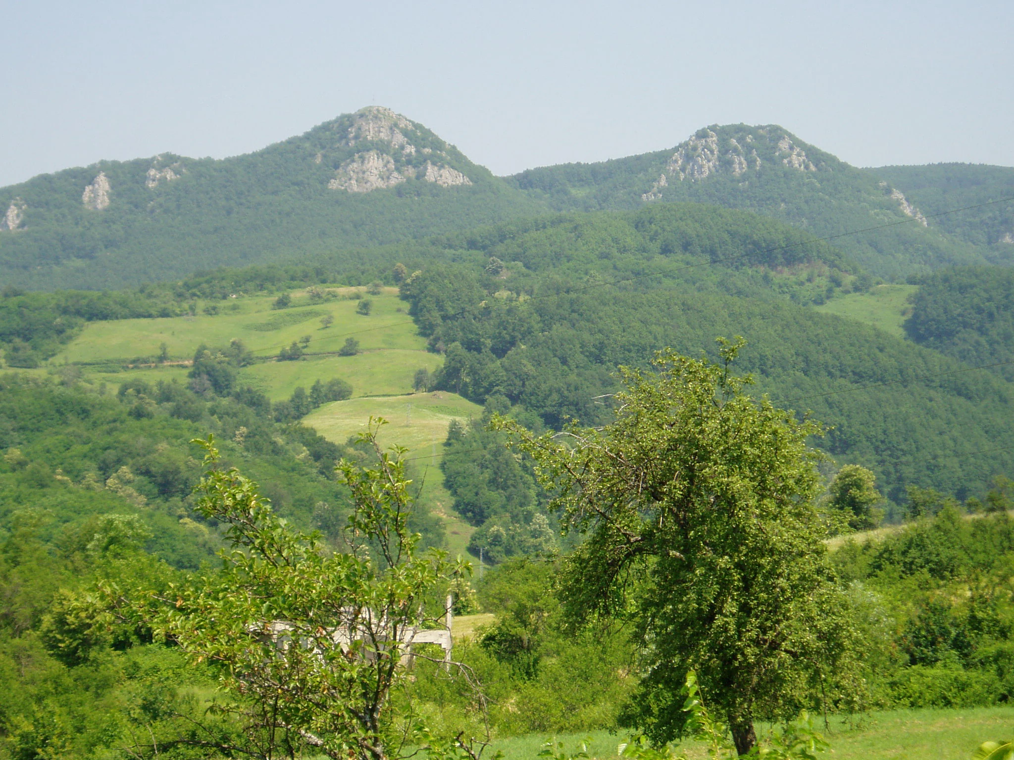 Landscape view of rolling green hills, forested mountains, and valleys under a clear sky