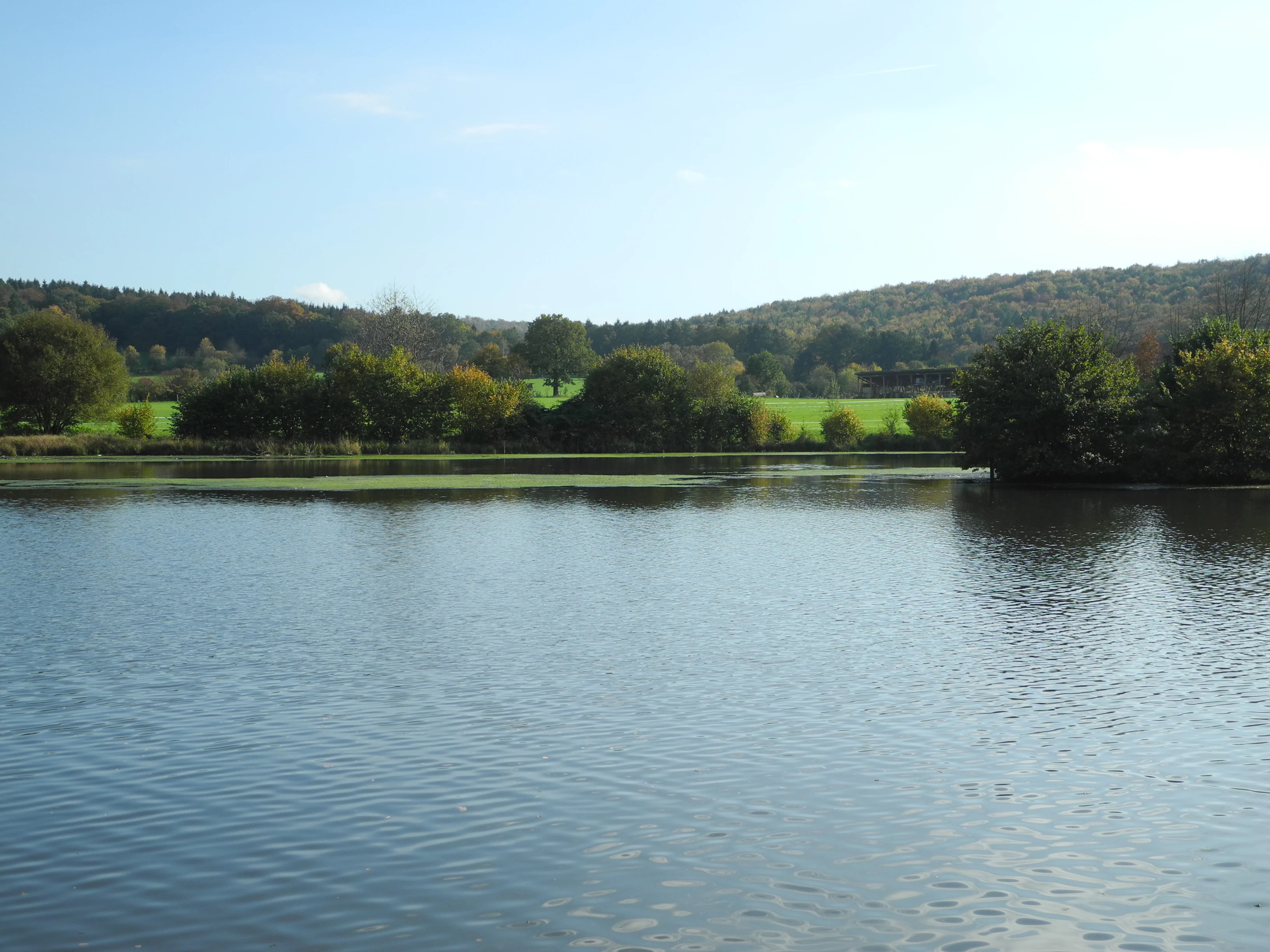 A wide, calm river in the foreground, with lush green trees and rolling forested hills in the background under a clear sky.