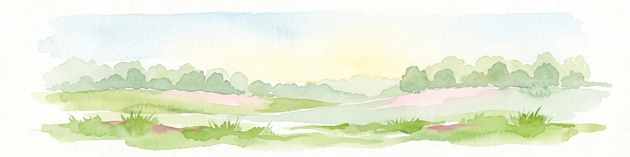 A soft, light-toned watercolor painting depicting a marshy wetland with patches of grass and distant low trees against a pale, washed-out sky.