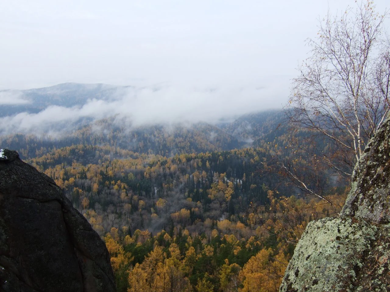 A wide view of a densely forested valley in autumn with golden yellow and dark green trees, framed by dark rocky outcrops in the foreground and patches of low cloud or mist in the distance.