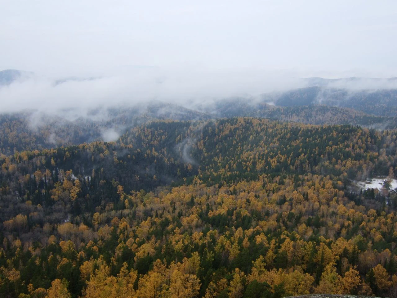 An elevated, panoramic view of a dense, autumn-colored forest with golden and green trees, partially obscured by low-hanging clouds and mist in a mountainous region.