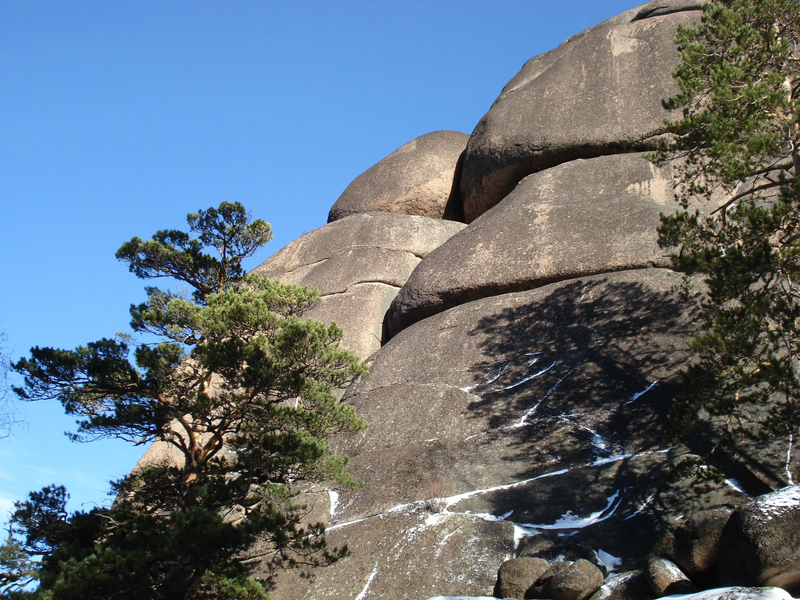 A large, smooth, rounded syenite rock formation towers against a clear blue sky, partially framed by coniferous trees with small patches of snow visible in the rocky crevices.