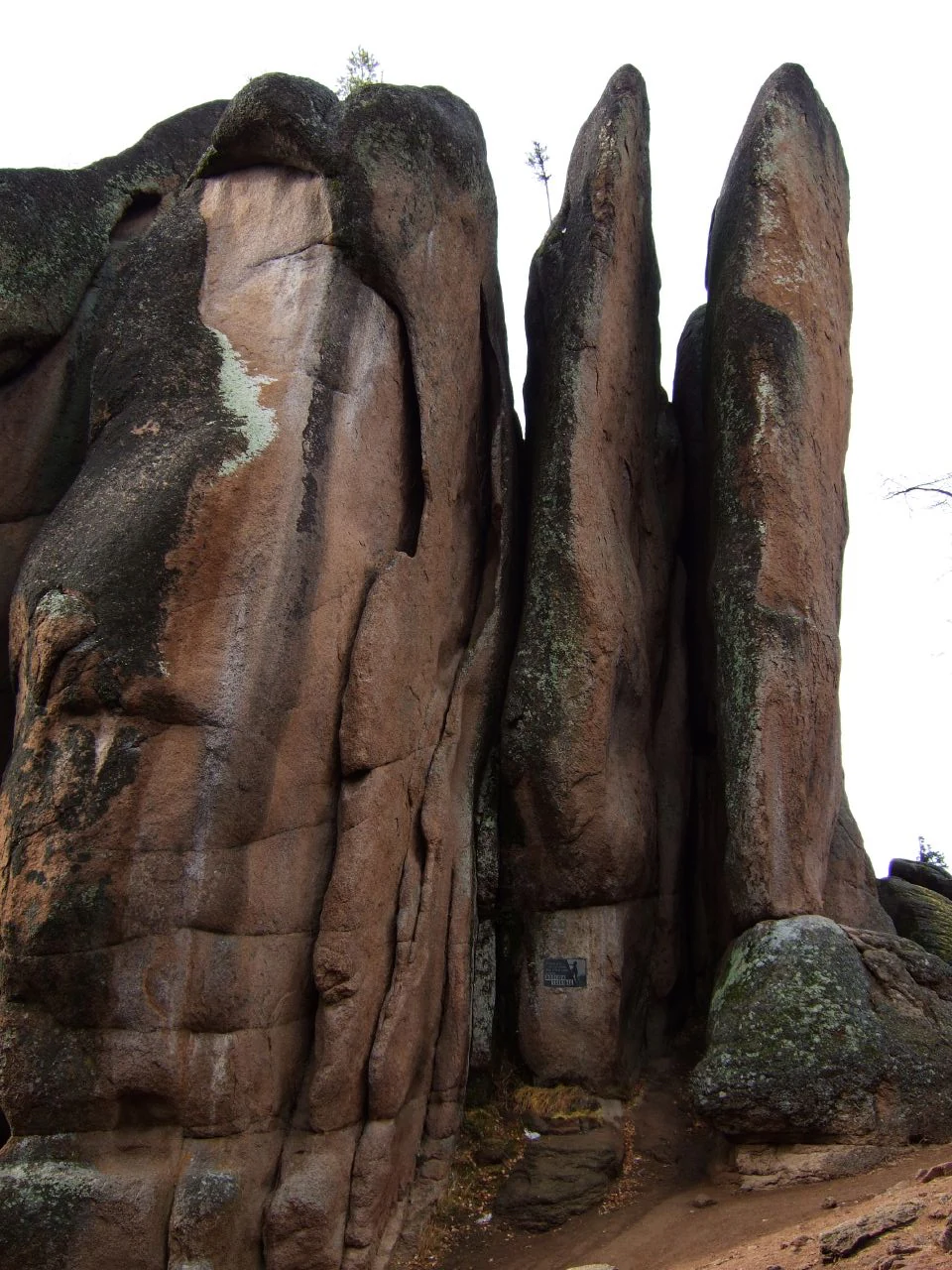 A close up view of tall, vertical syenite rock pillars in a forest environment, with dark lichen and weathered surfaces visible on the stone faces.