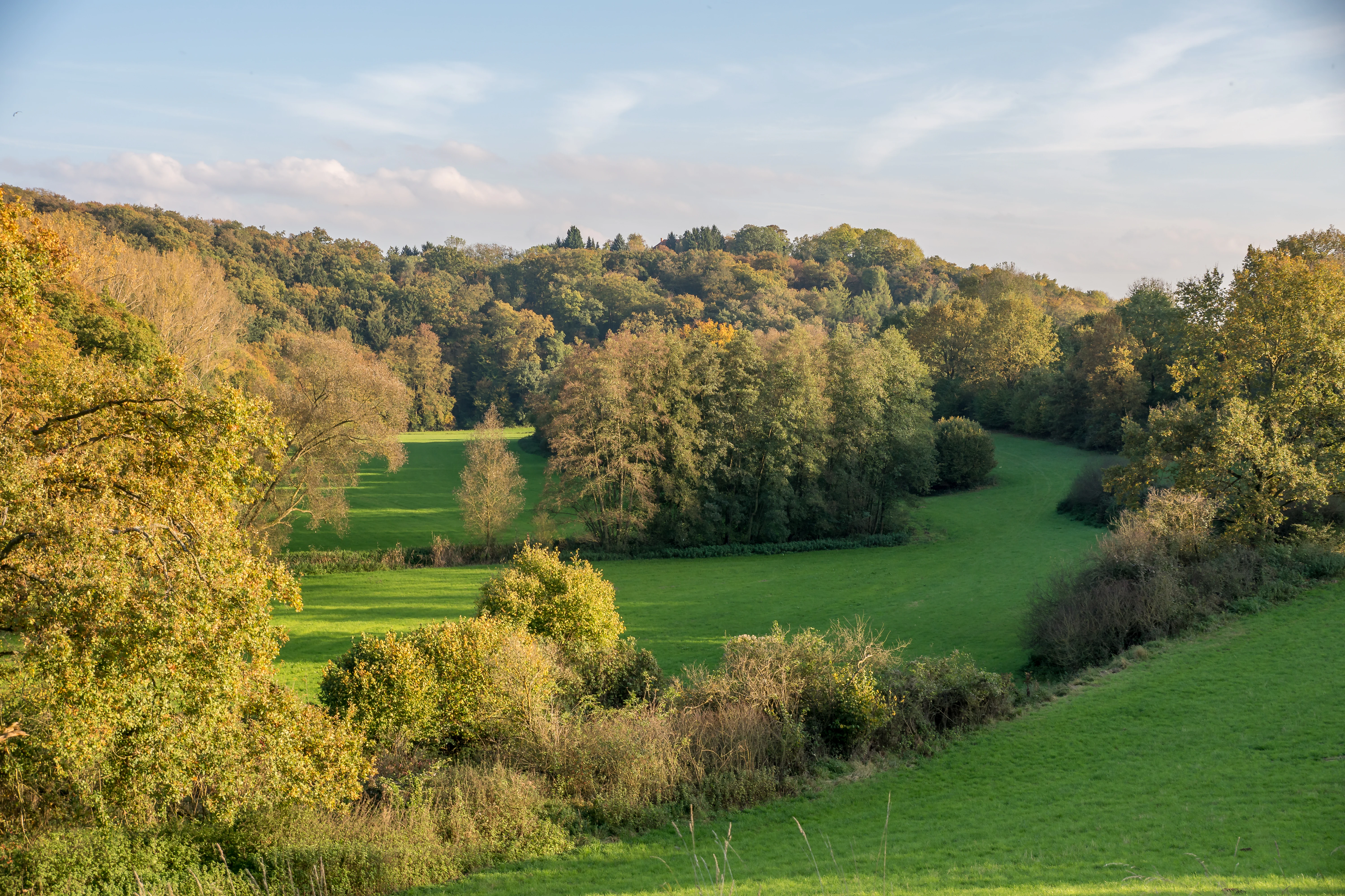 A wide view of a rolling green valley with patches of trees displaying autumn foliage colors.