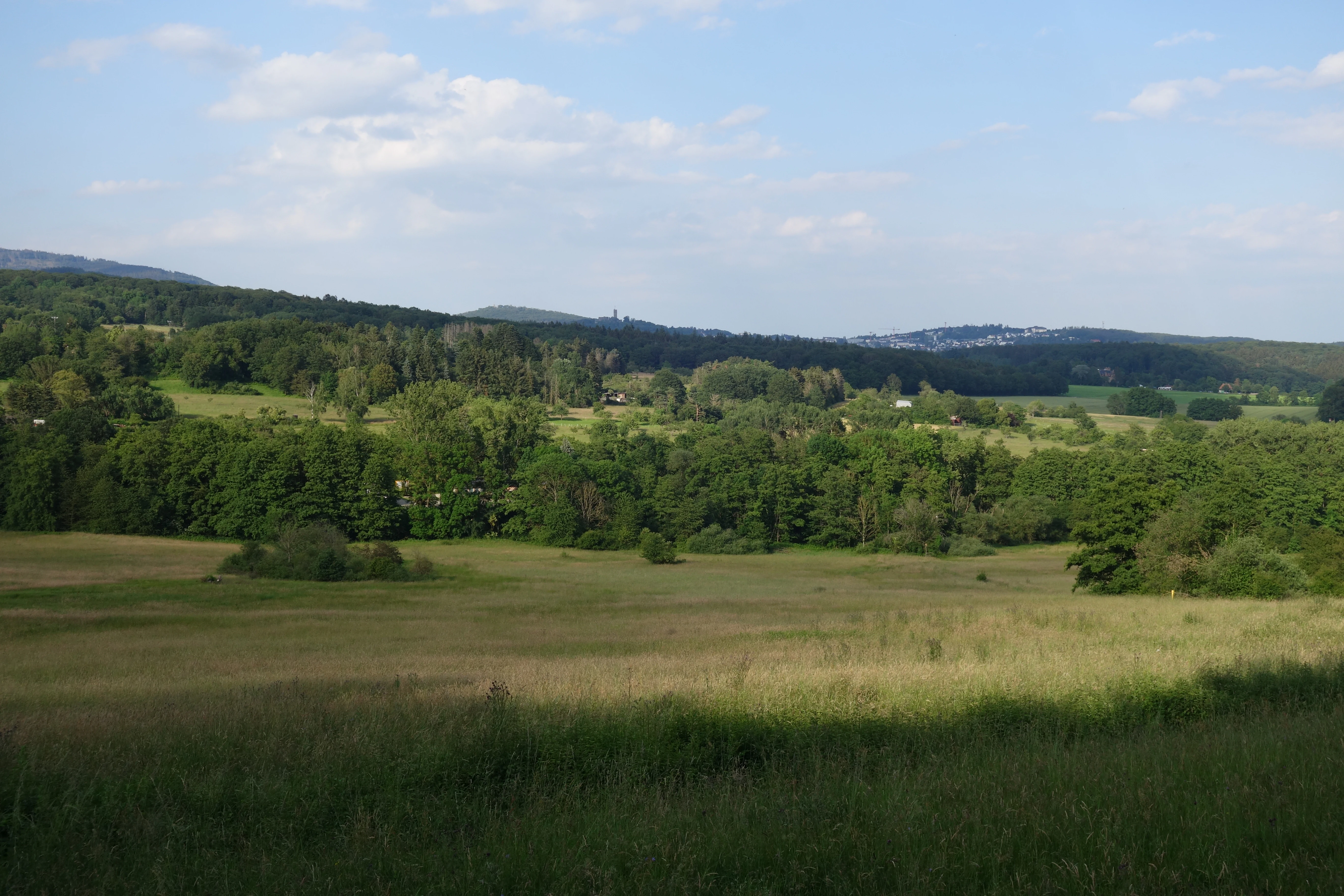 Panoramic landscape view of a green valley and rolling hills under a blue sky, with a mix of open meadows and dense forest patches.