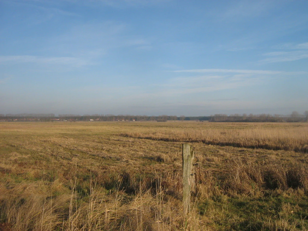 A wide, flat marshy landscape with tall dry grass, a wooden fence post in the foreground, and a distant treeline under a pale blue sky.
