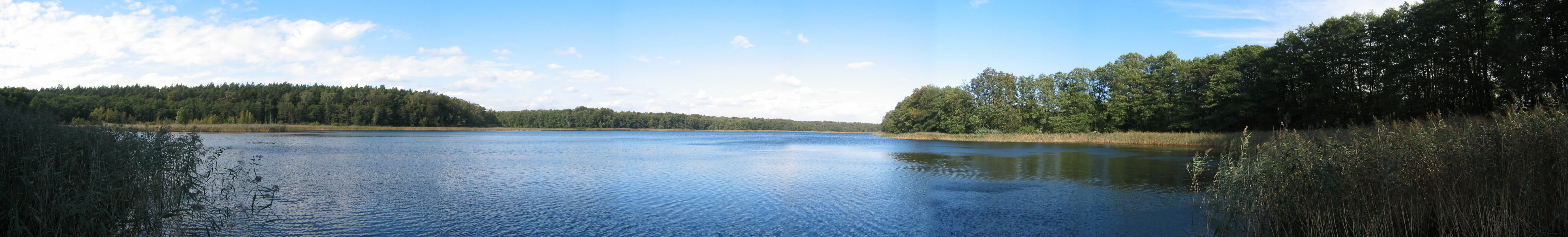 Wide panoramic view of a calm lake surrounded by dense green forests and reed beds along the shore under a blue sky.
