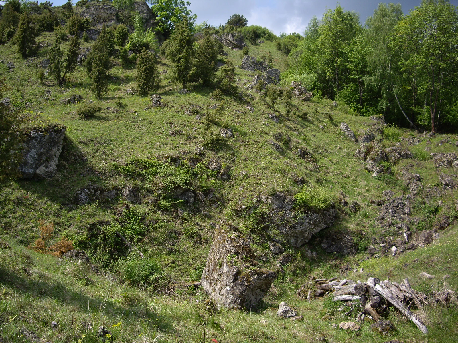 A sloped grassy hillside dotted with juniper trees, scattered grey rock formations, and some deciduous trees under a cloudy sky.
