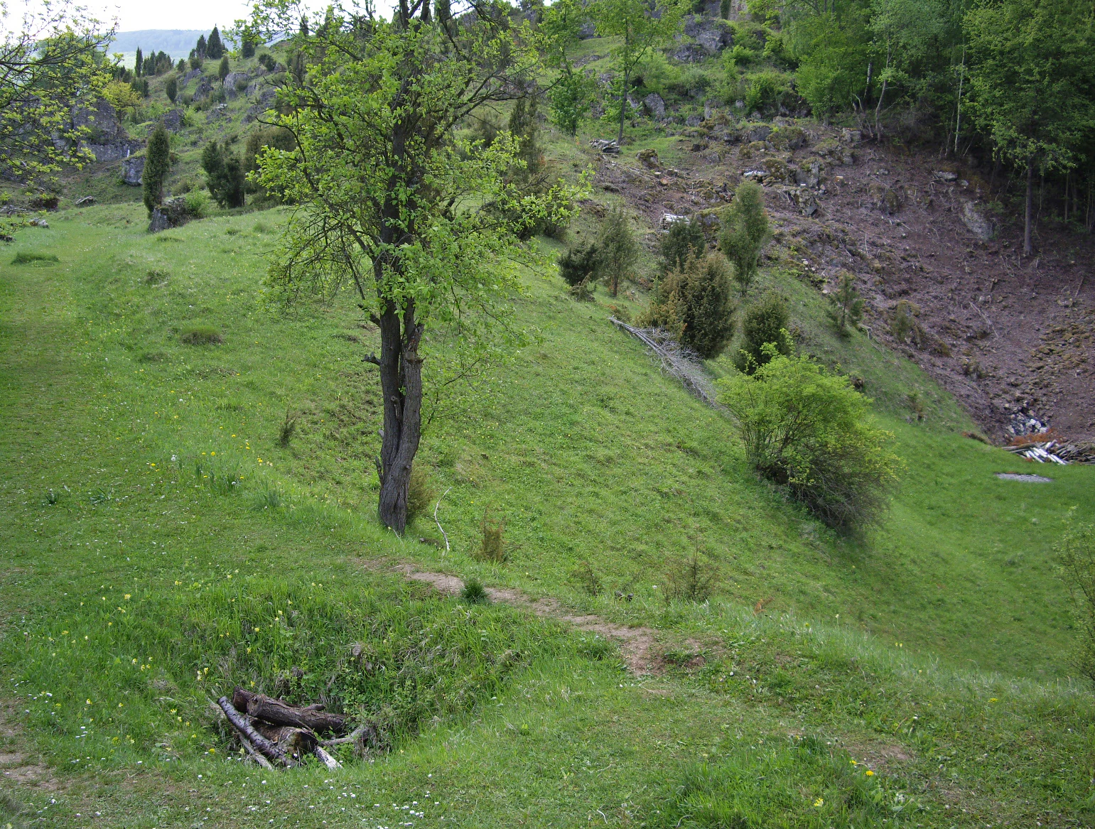 A green, hilly meadow with a path winding through it; there is a small sinkhole or depression in the foreground and a larger rocky, uneven area on the right, typical of the karst terrain.