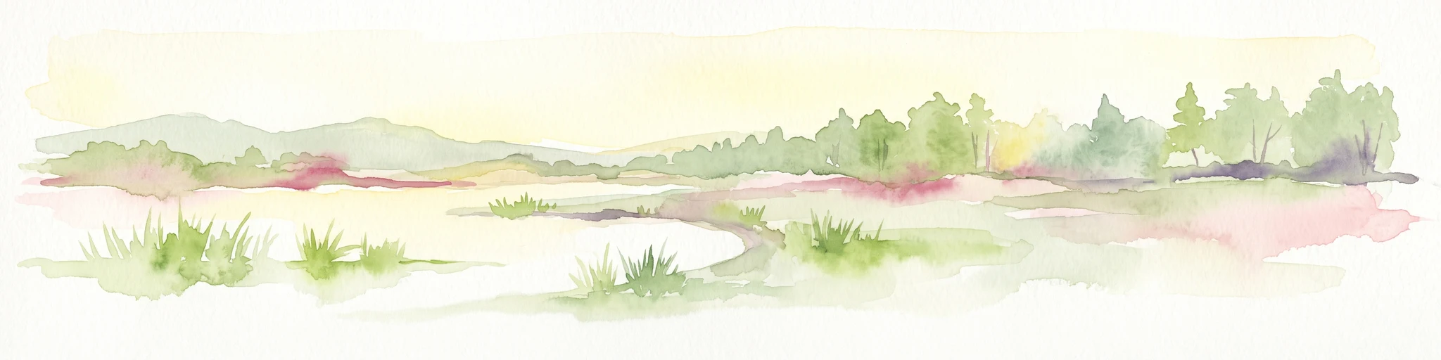 Watercolor painting of a tranquil, marshy landscape with soft green trees, grass, and a winding path, rendered in a pale, minimalist style.