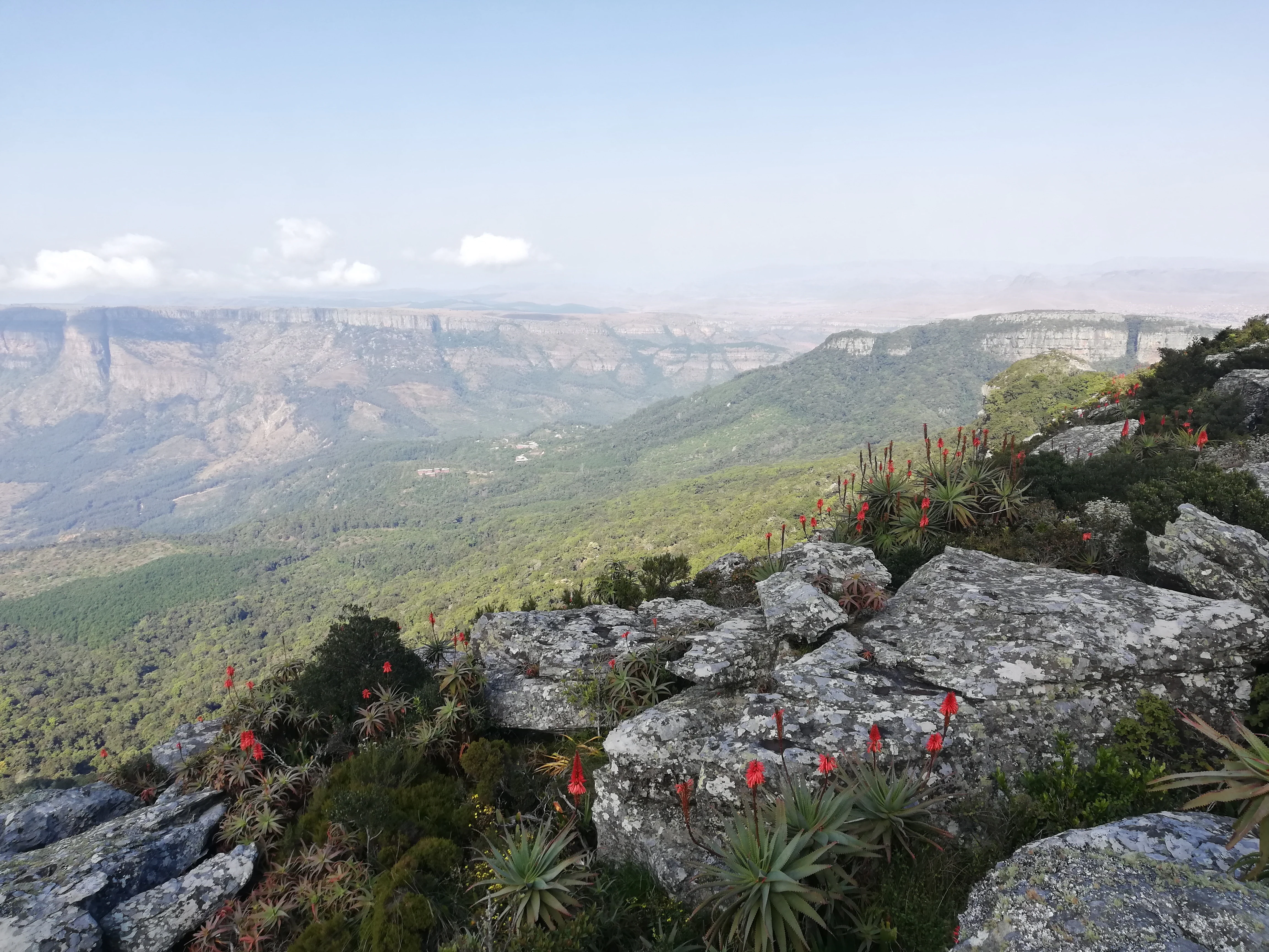 A high-angle scenic view from a rocky mountainside covered in aloe plants with red flowers, looking out over a deep valley and distant ridges.