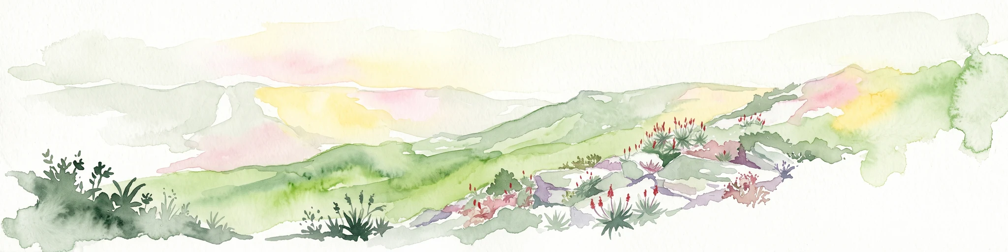A soft watercolor illustration showing rolling green hills with sparse native vegetation, set against a pale, warm-toned horizon.