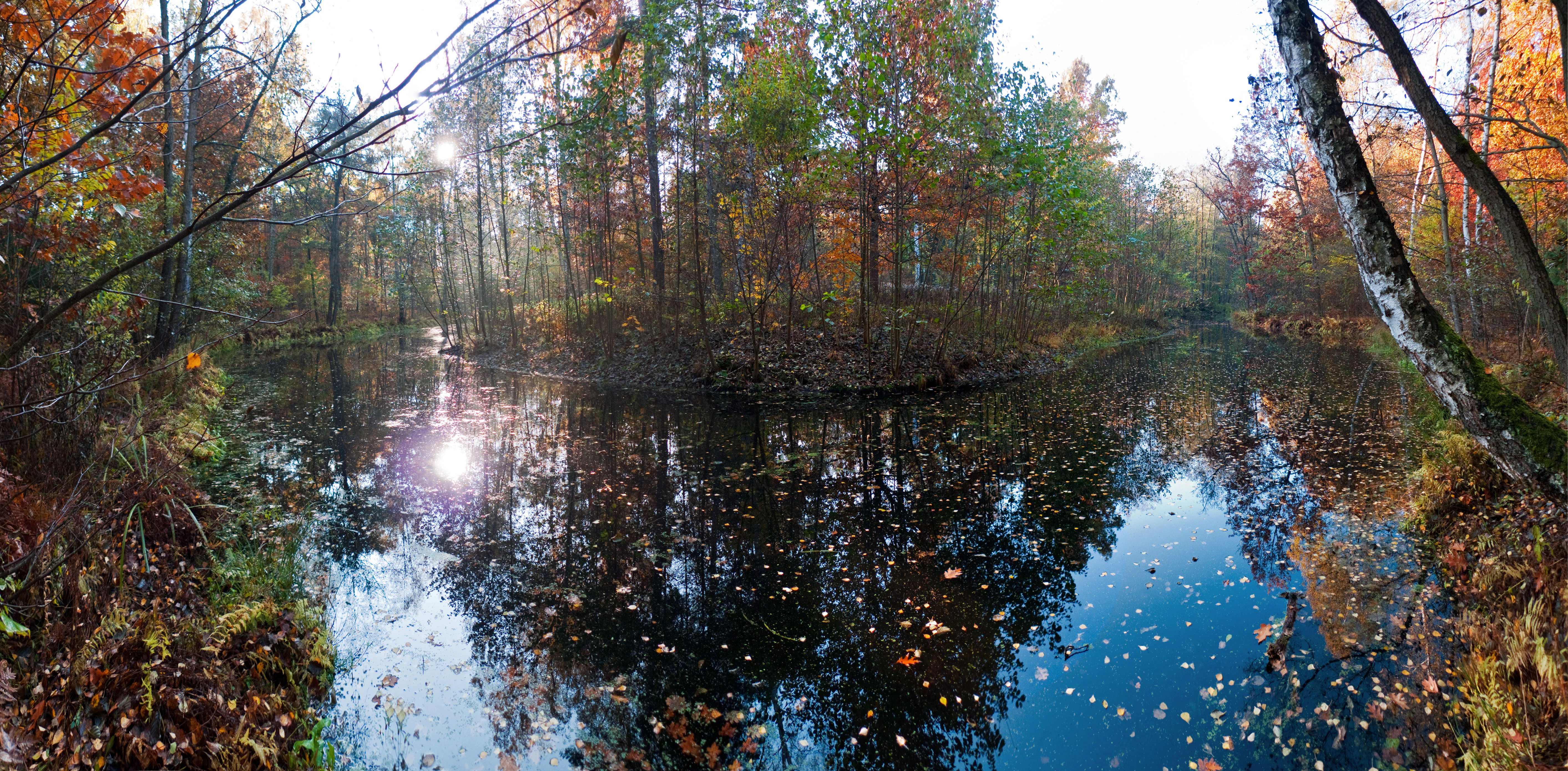 A panoramic view of a calm, reflective lake surrounded by a dense forest showing autumn colors in Berlin, Germany.