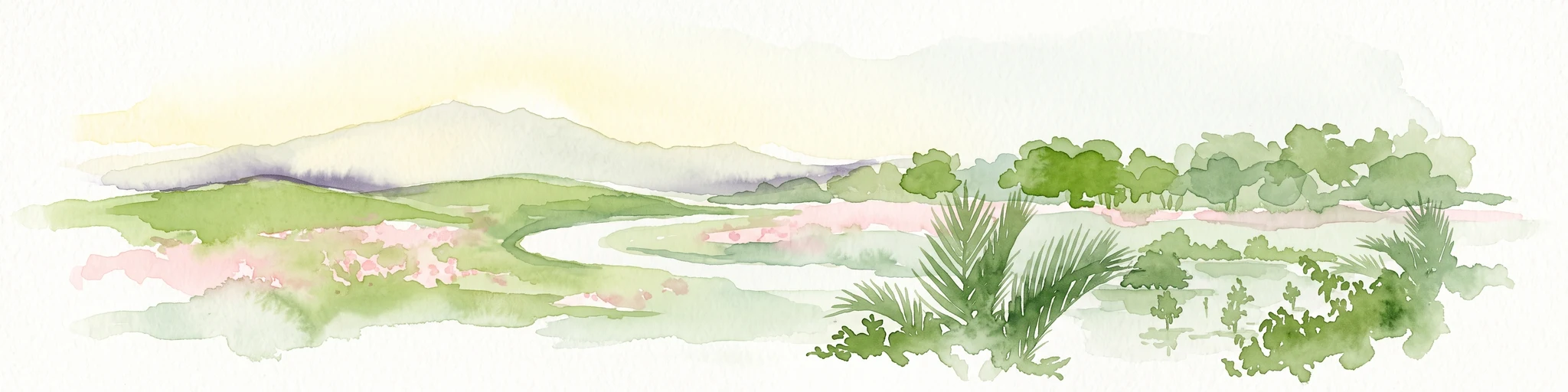 A watercolor painting showing a winding river flowing through green wetlands and forests with distant rolling hills.